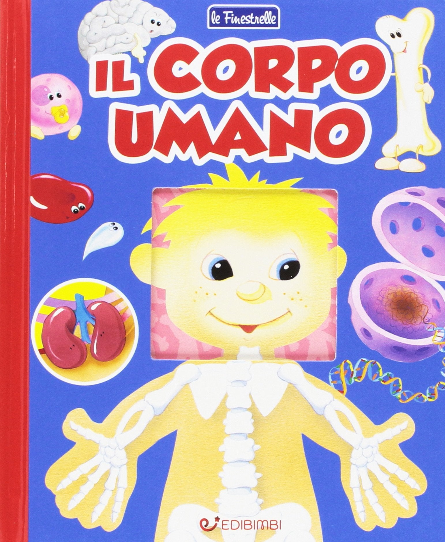 Il corpo umano. Finestrelle. Ediz. a colori book