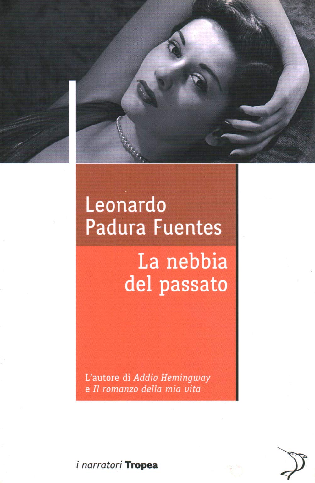 La nebbia del passato (I narratori) Contemporary literature
