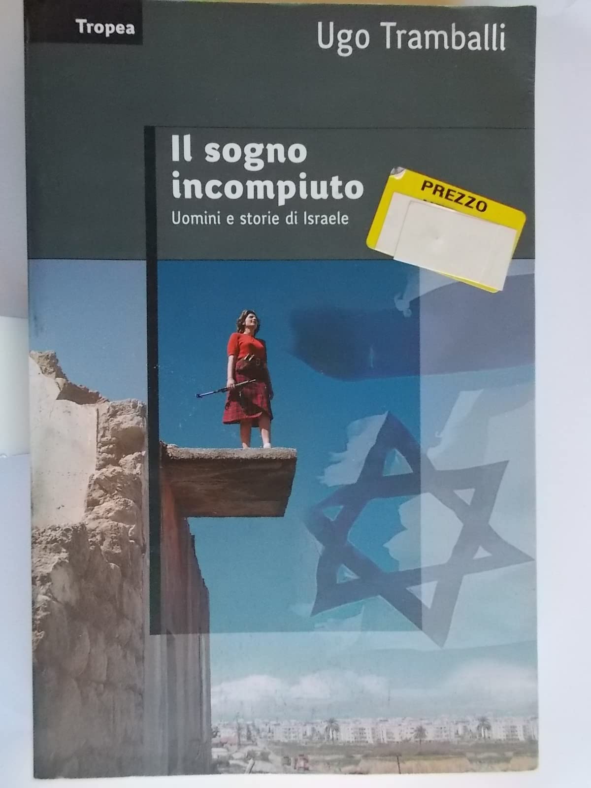Il sogno incompiuto. Uomini e storie di Israele book