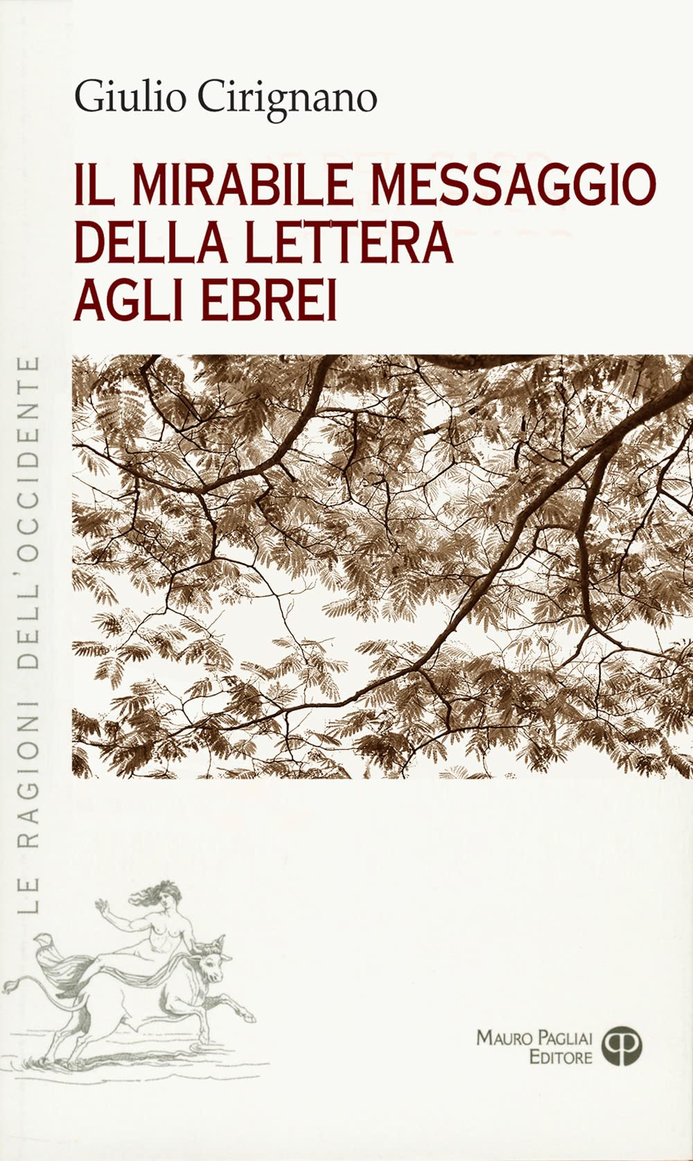 Il Mirabile Messaggio Della Lettera Agli Ebrei book