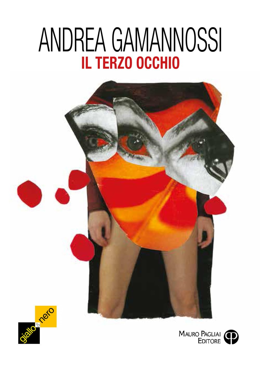 Il terzo occhio. Un nuovo caso per il capitano Amelia book