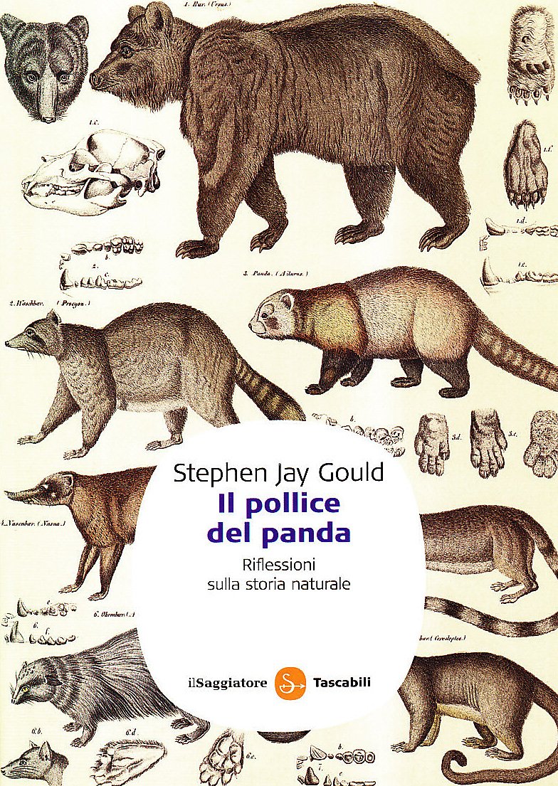 Il pollice del panda. Riflessioni sulla storia naturale book