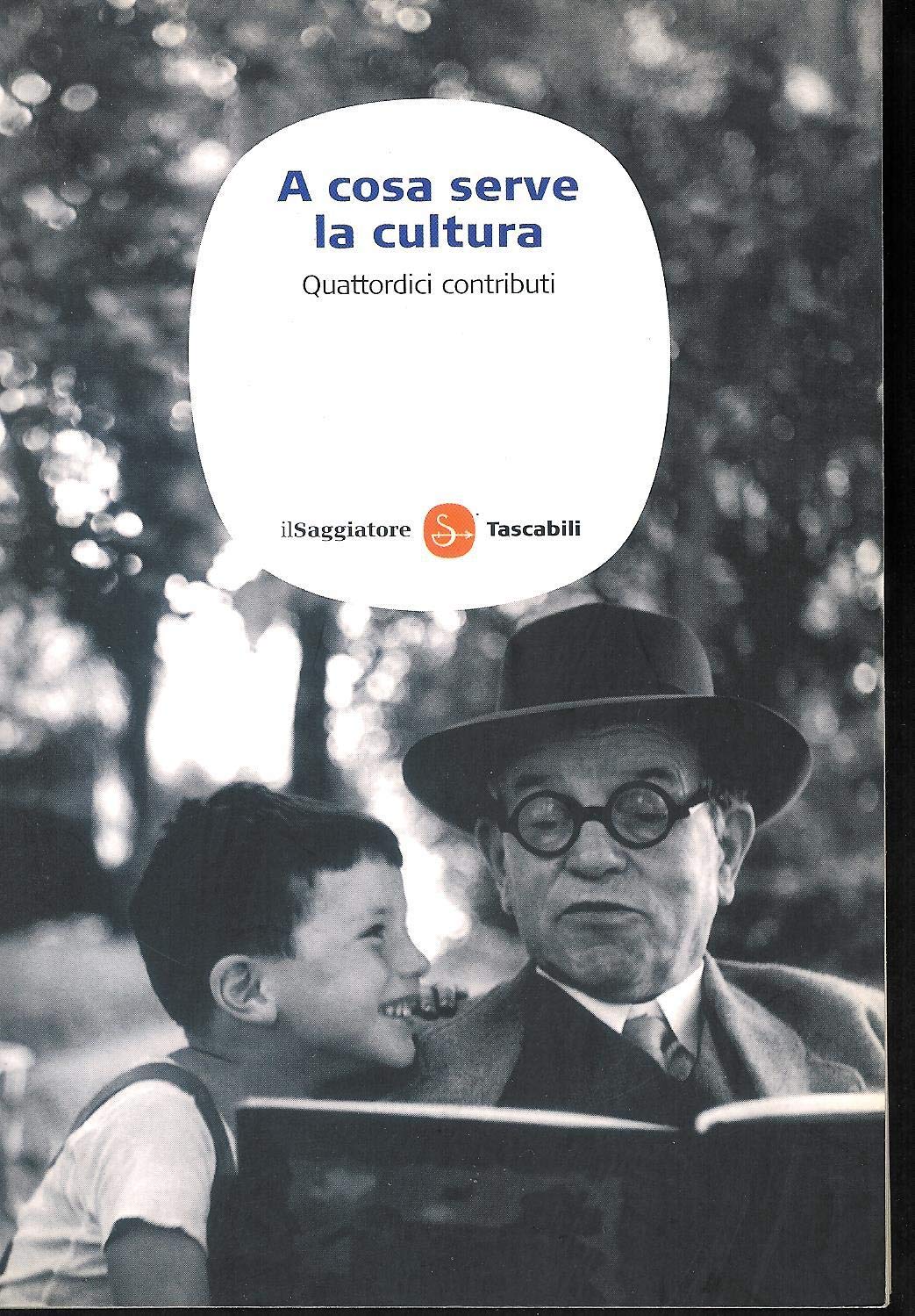 A cosa serve la cultura. Quattordici contributi book