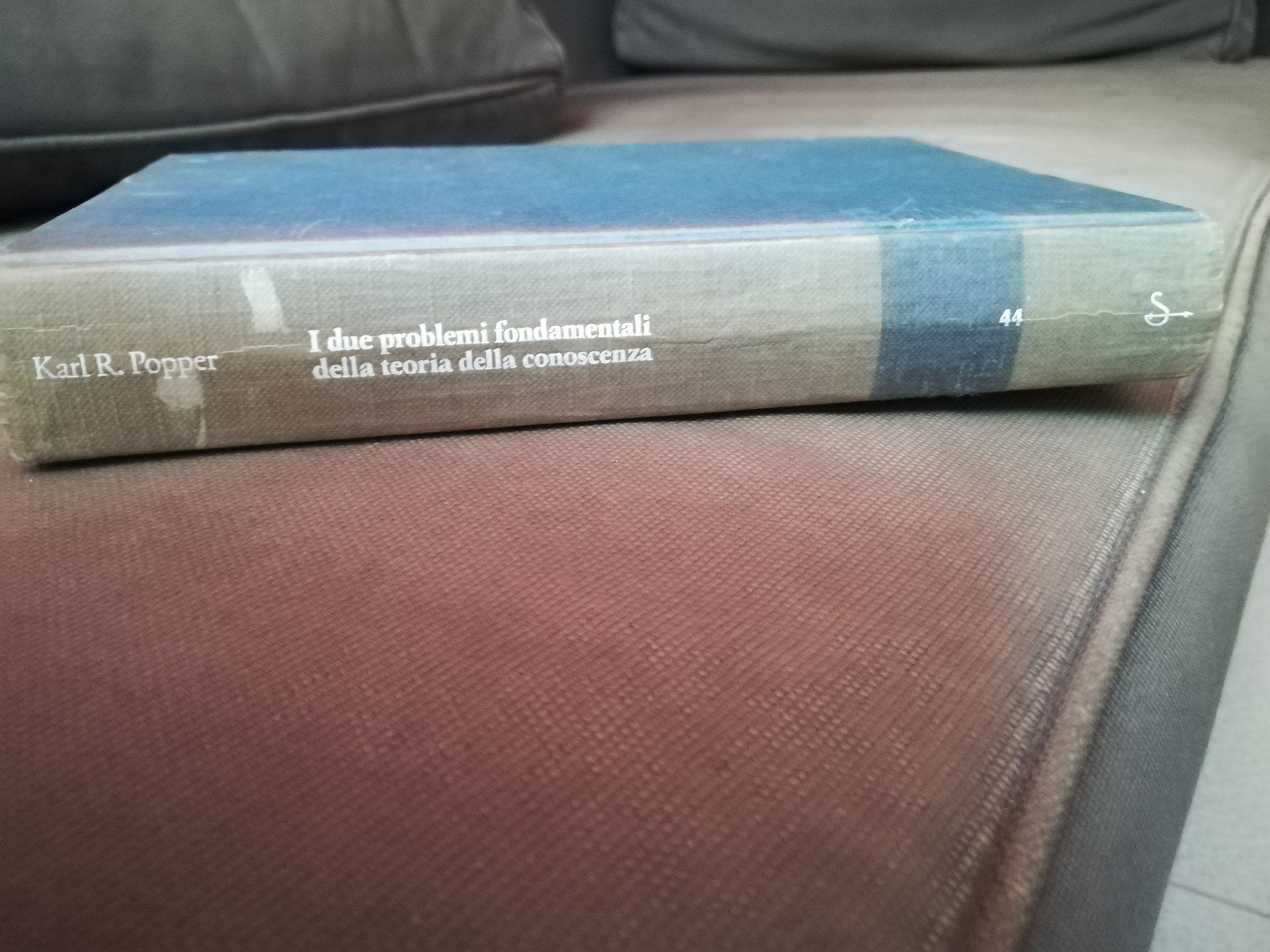 I due problemi fondamentali della teoria della conoscenza (Saggi. Tascabili) Philosophy