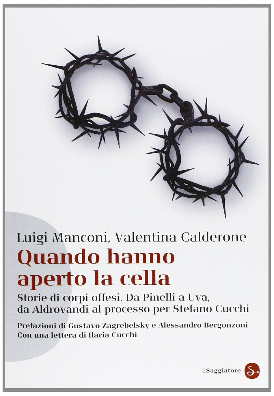 Quando hanno aperto la cella. Storie di corpi offesi. Da Pinelli a Uva, da Aldovrandi al processo per Stefano Cucchi book