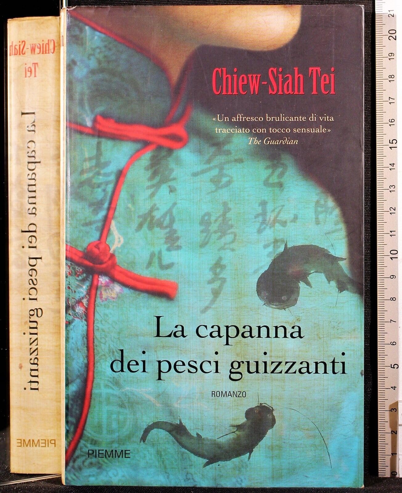 La capanna dei pesci guizzanti book