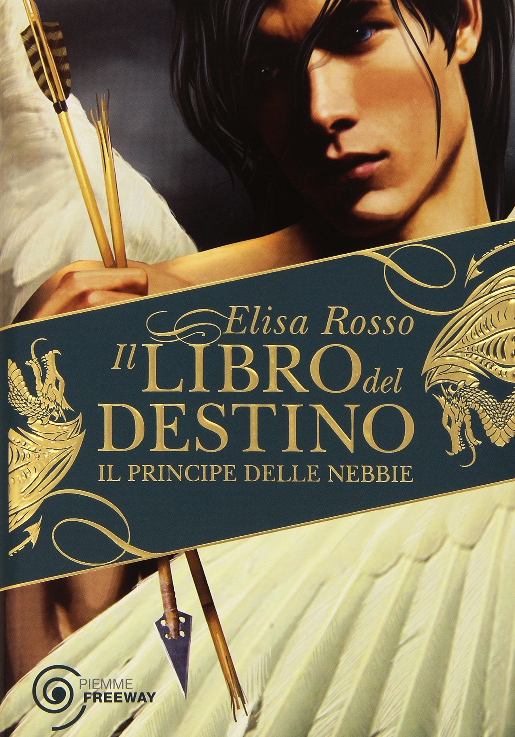 Il principe delle nebbie. Il libro del destino book