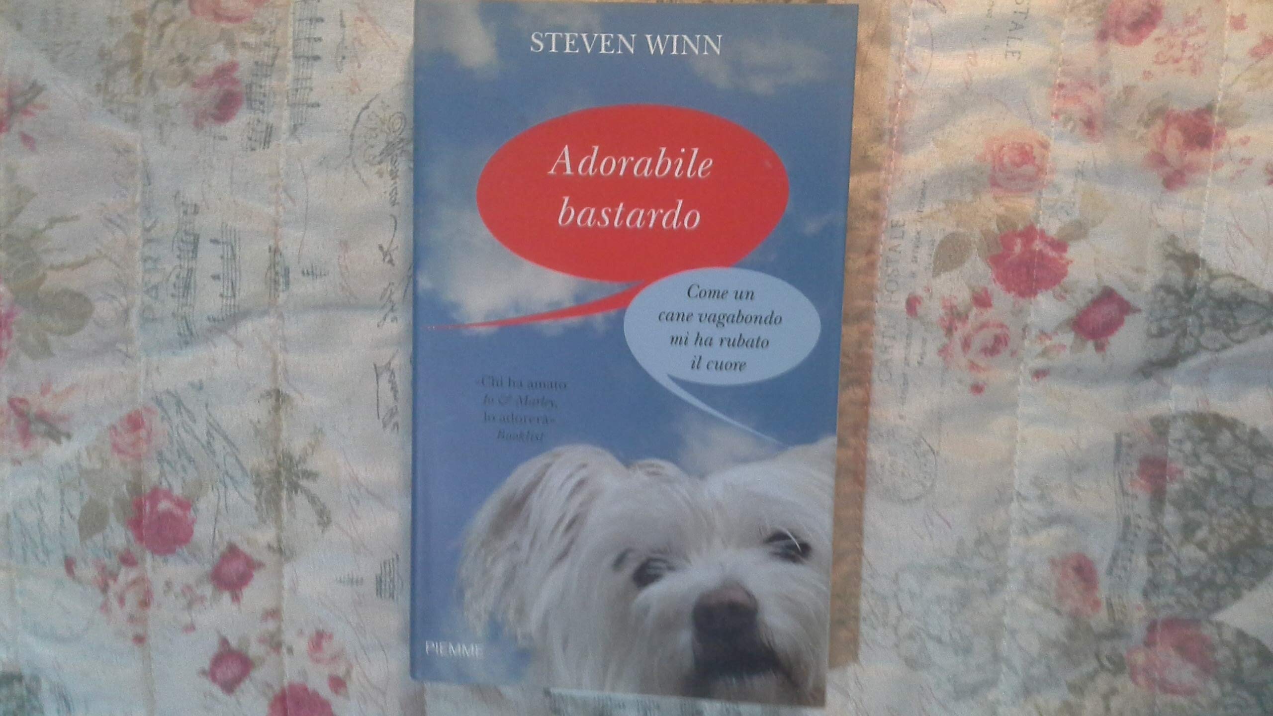 Adorabile bastardo. Come un cane vagabondo mi ha rubato il cuore Memories