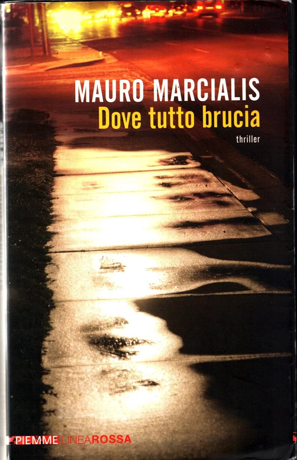 Dove tutto brucia Contemporary literature