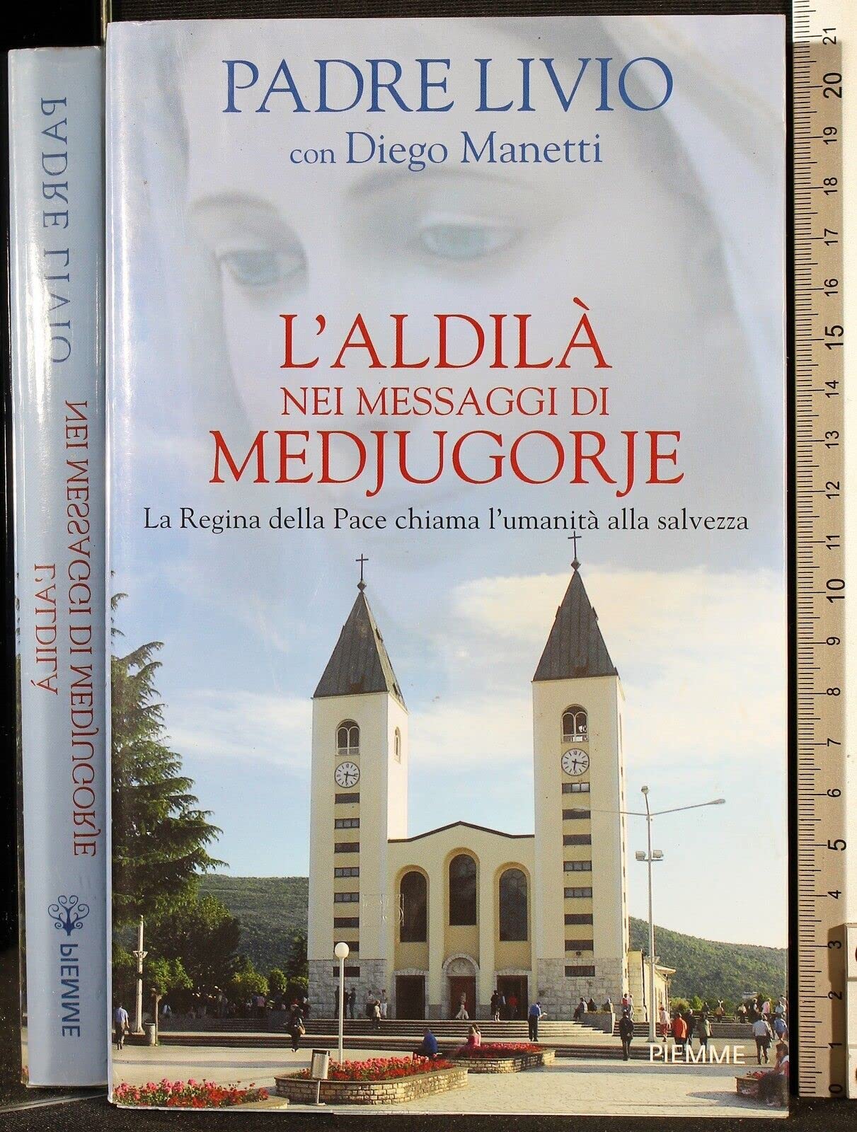 L'aldilà nei messaggi di Medjugorje. La Regina della Pace chiama l'umanità alla salvezza book