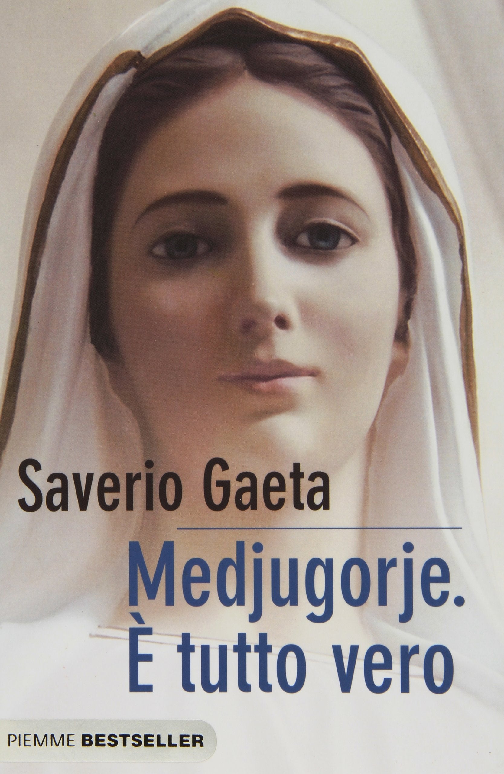 Medjugorje. È tutto vero book