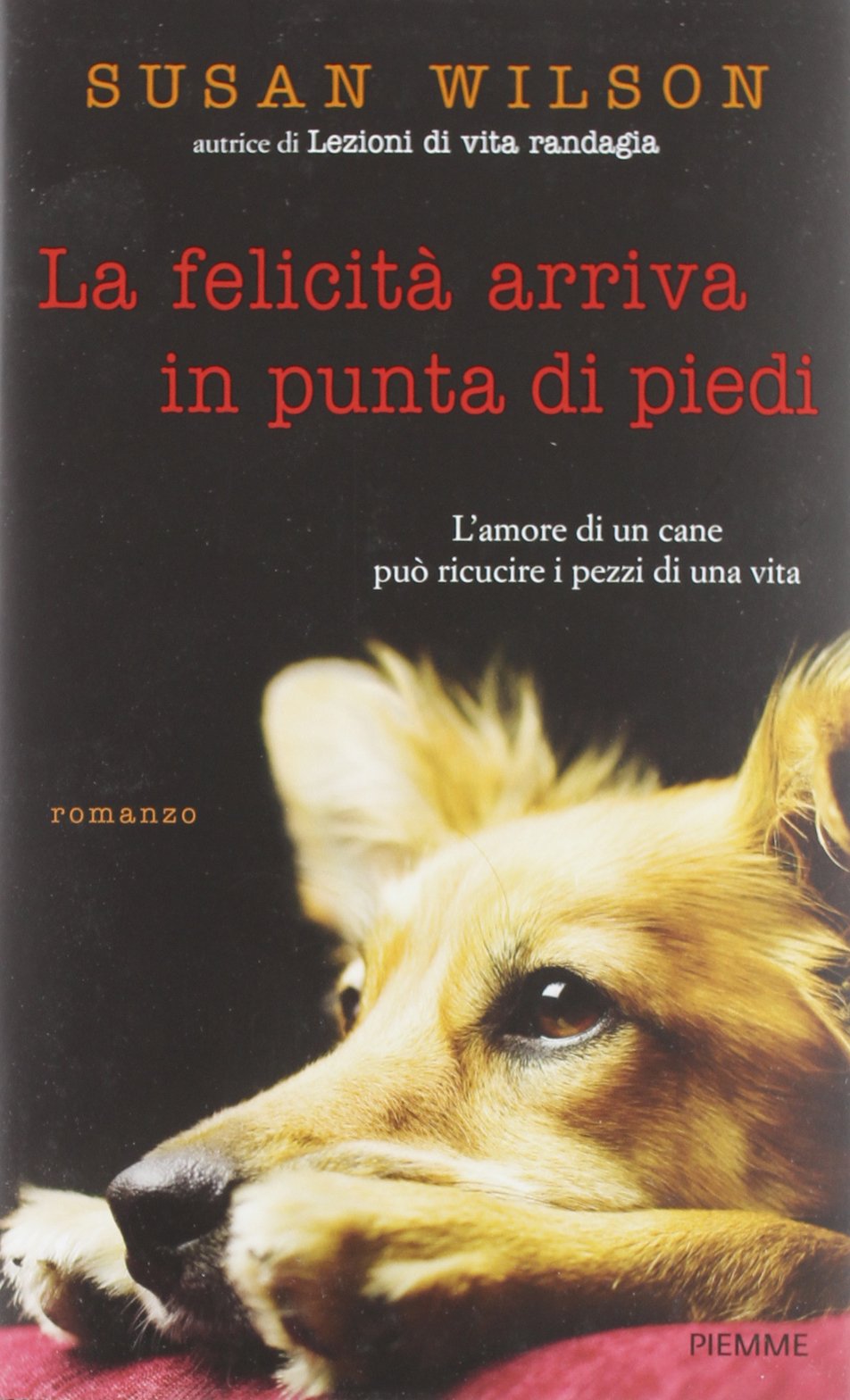La felicità arriva in punta di piedi Contemporary literature