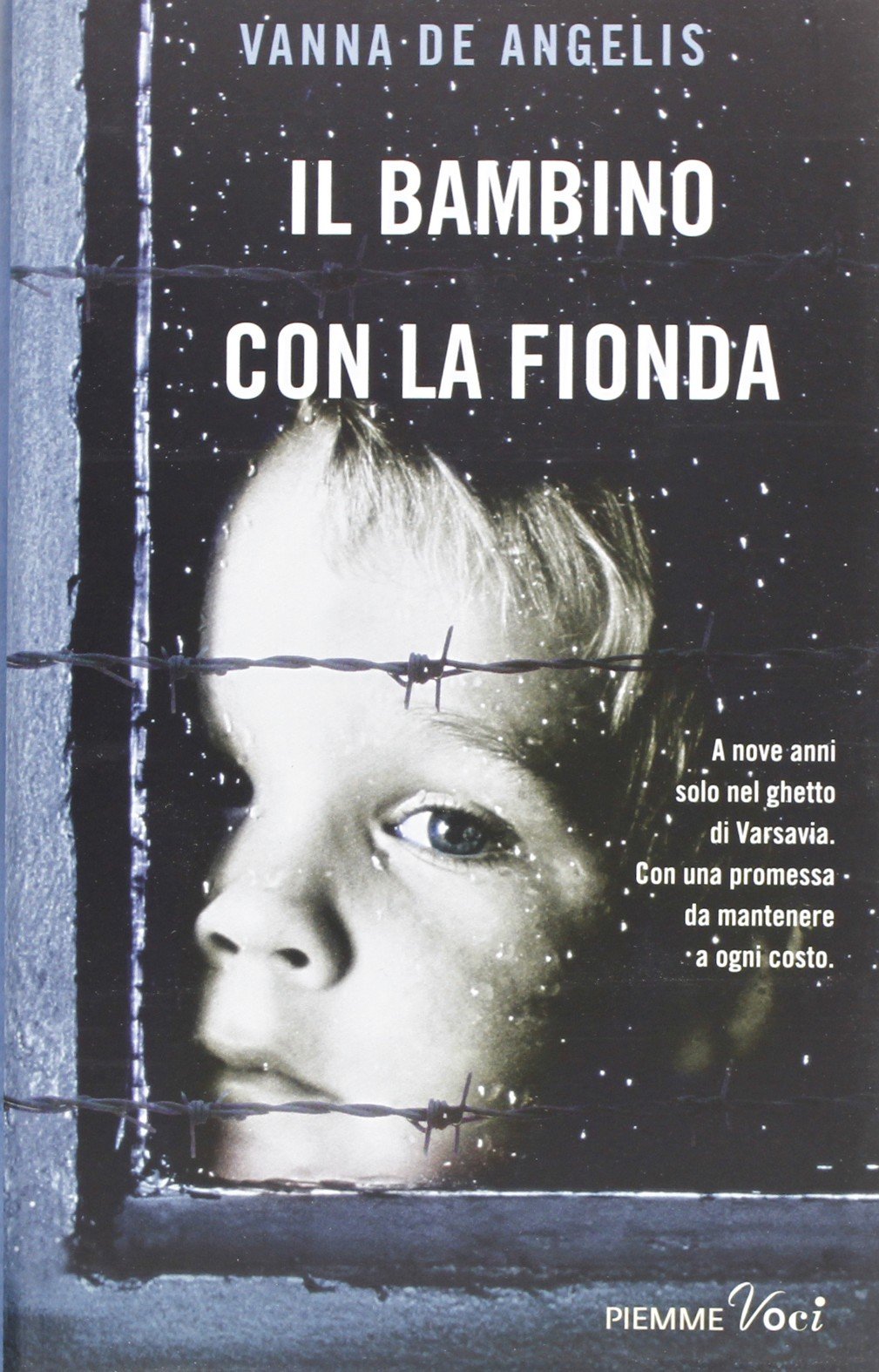 Il bambino con la fionda book