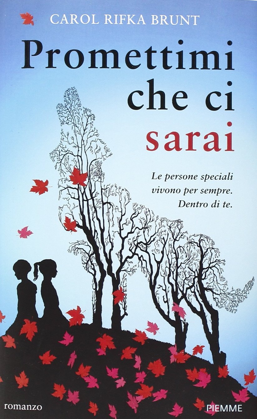 Promettimi che ci sarai Contemporary literature