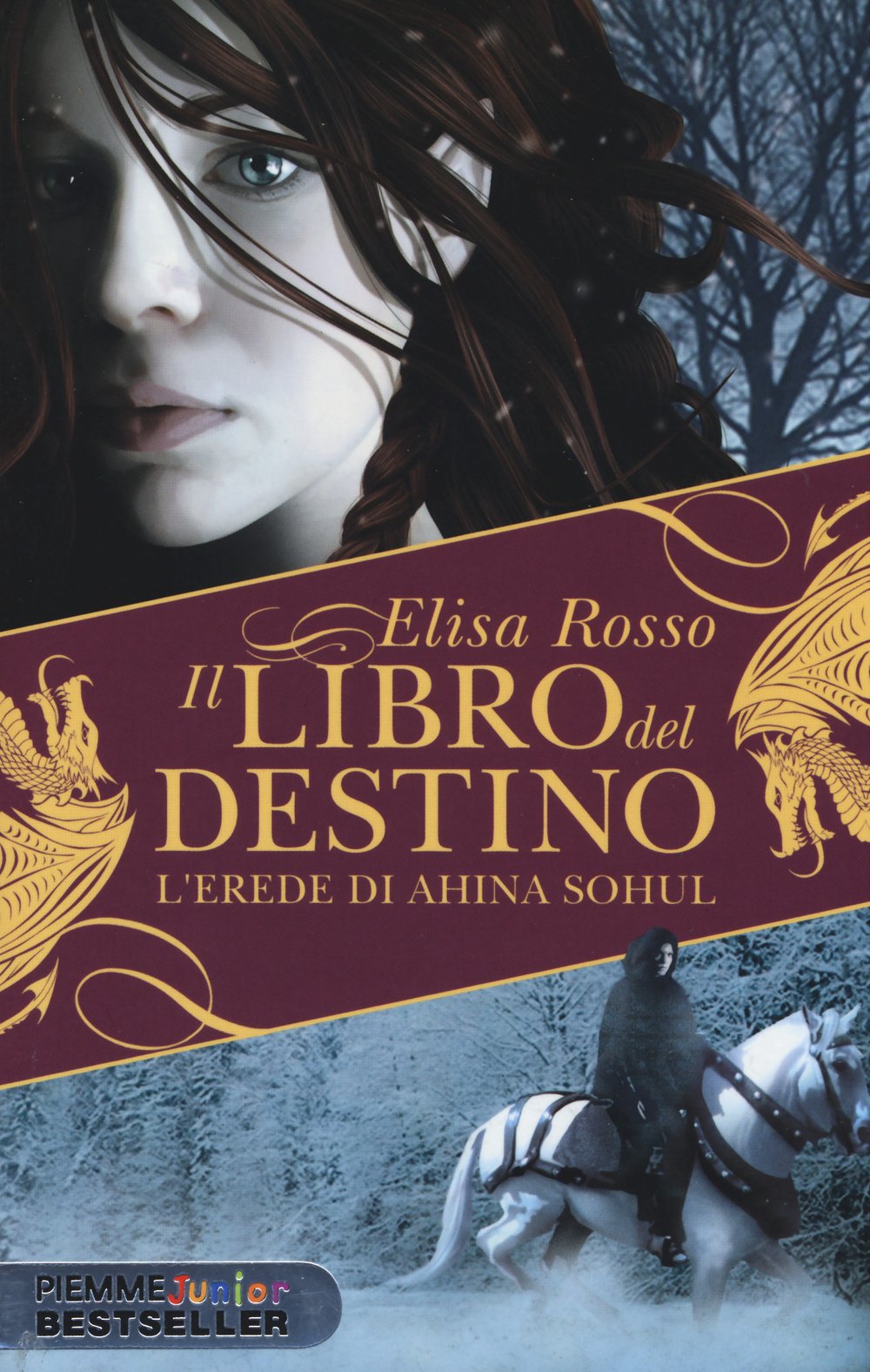 L'erede di Ahina Sohul. Il libro del destino book