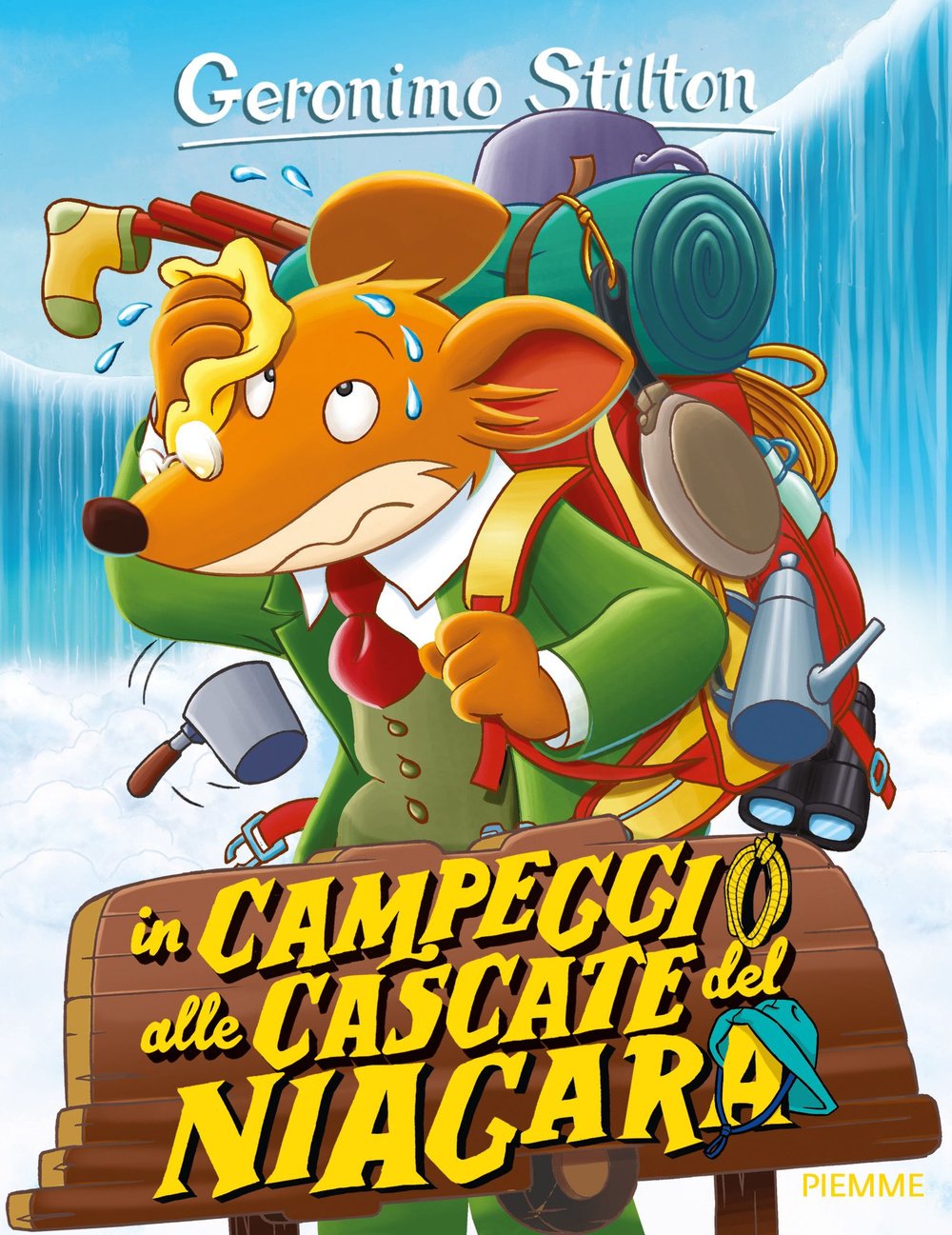In campeggio alle cascate del Niagara book