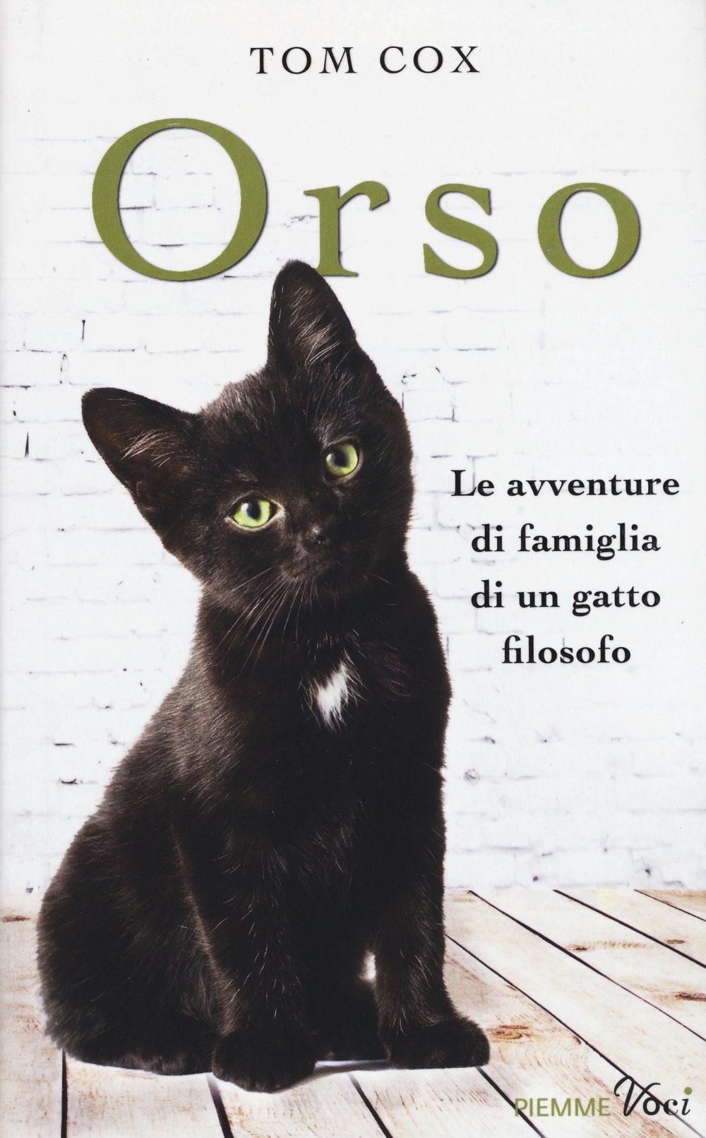 Orso. Le avventure di famiglia di un gatto filosofo book