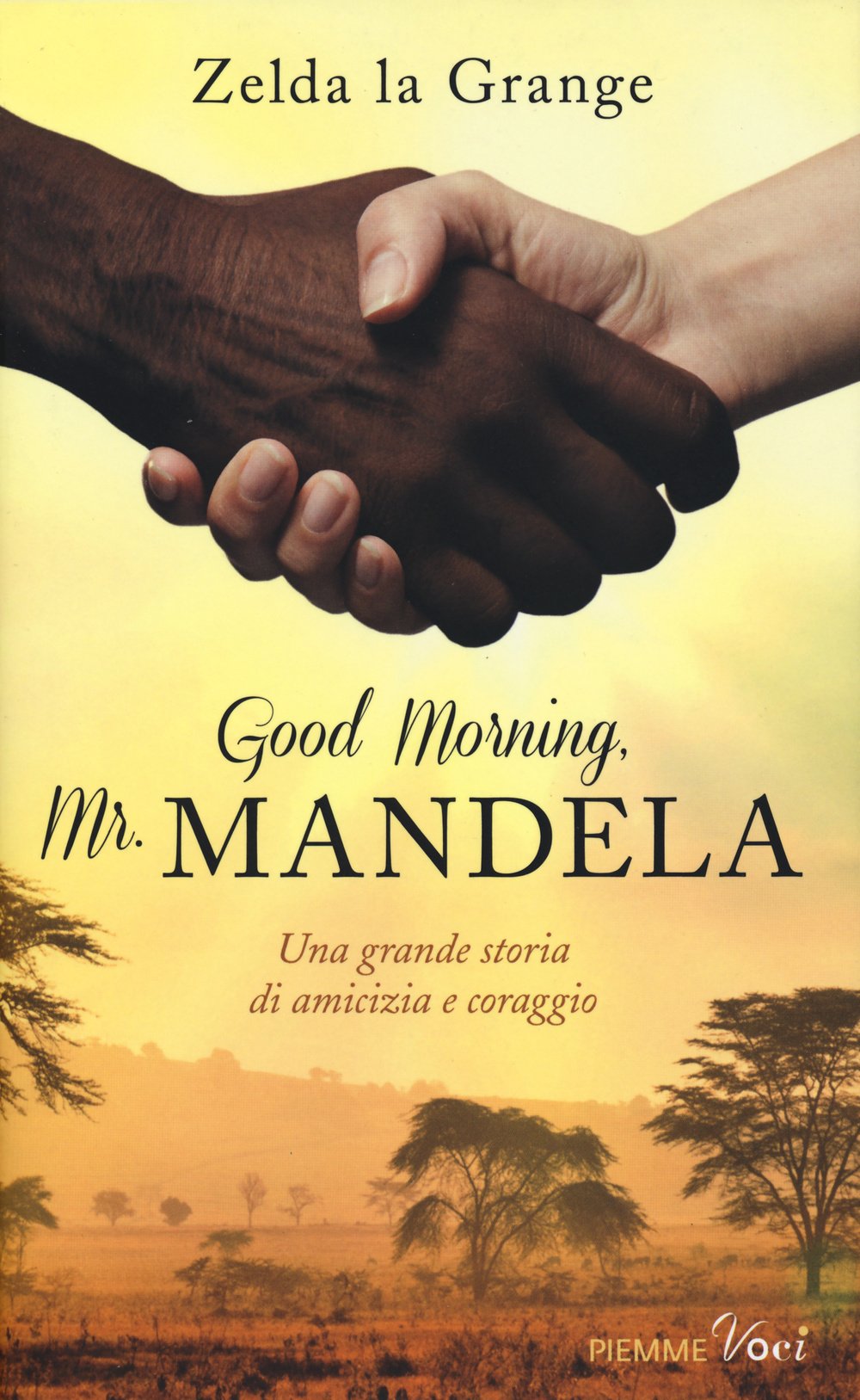 Good Morning, Mr. Mandela book