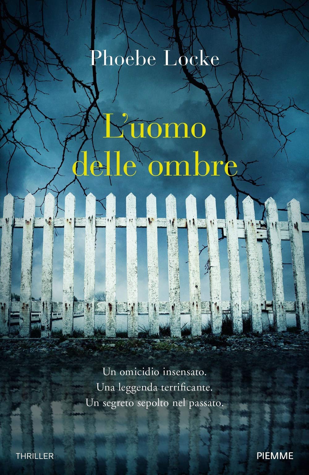 L'uomo delle ombre book