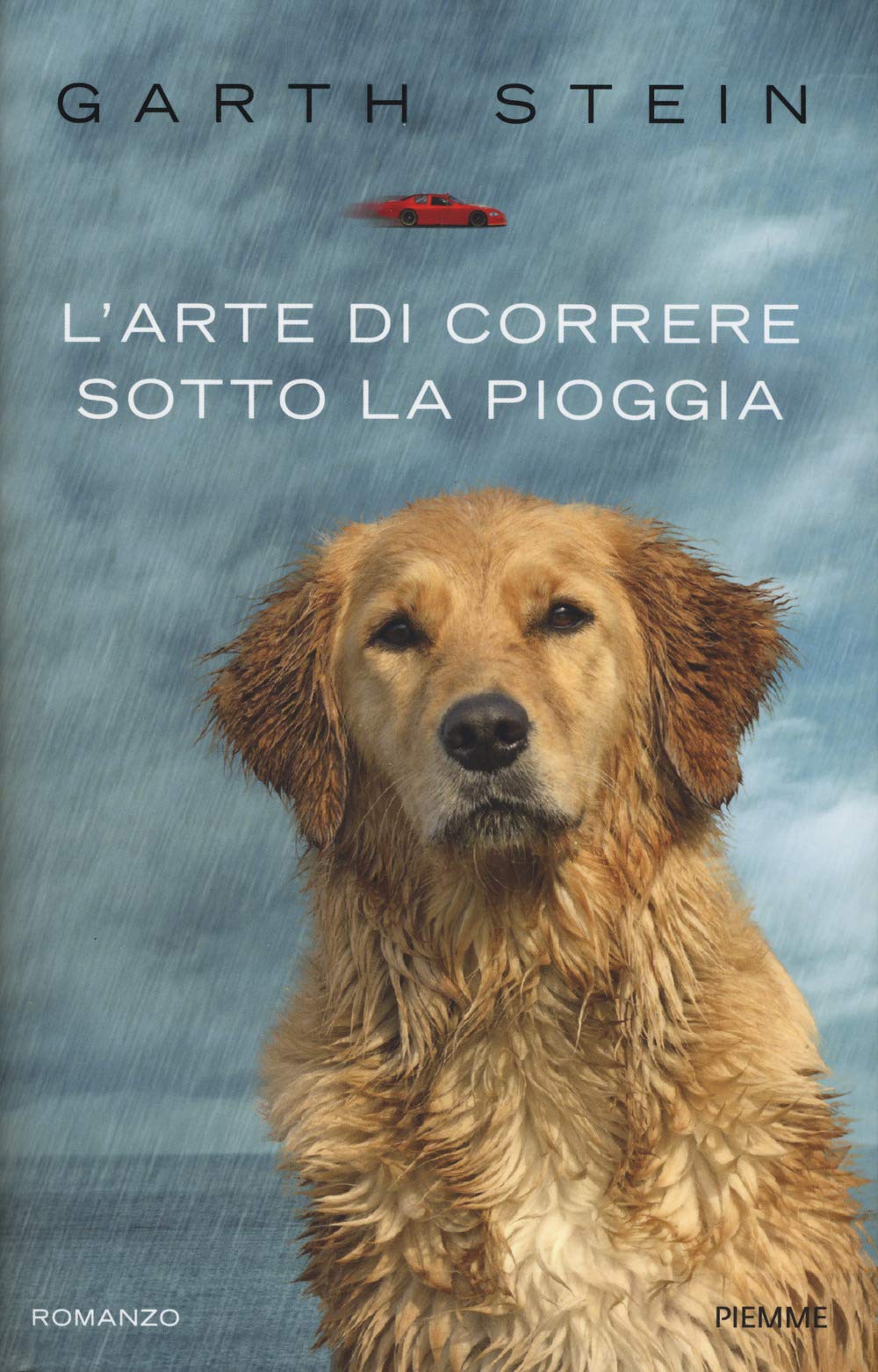 L'arte di correre sotto la pioggia book