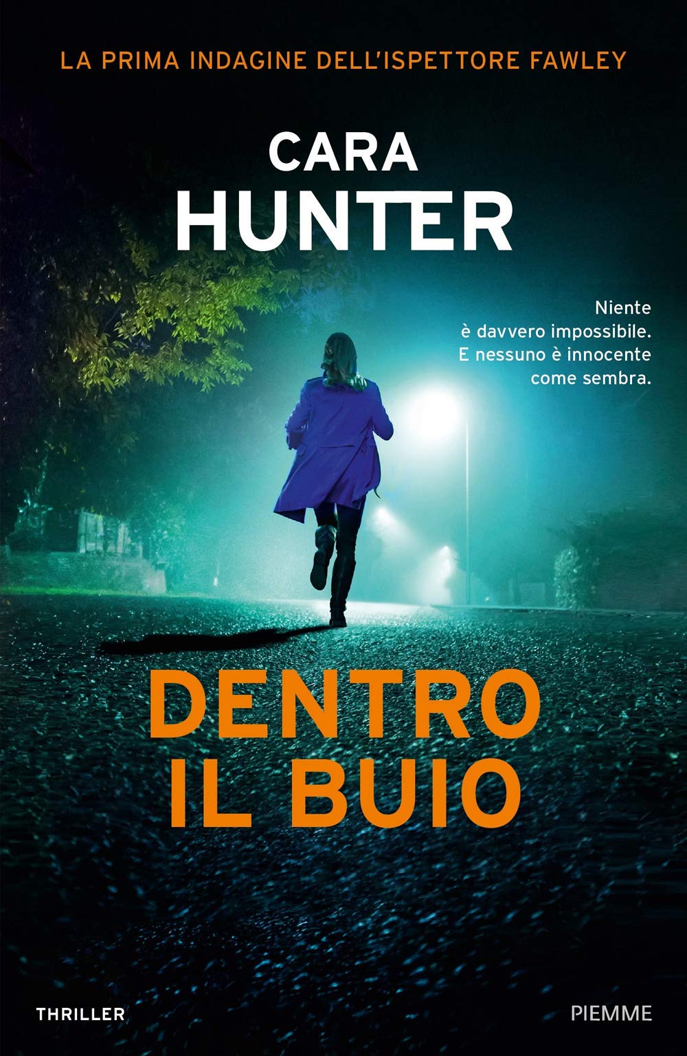 Dentro il buio. La prima indagine dell'ispettore Fawley Contemporary literature