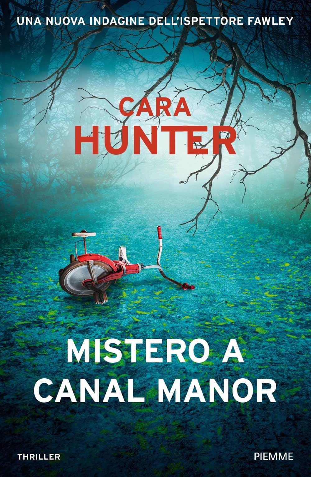 Mistero a Canal Manor. Una nuova indagine dell'ispettore Fawley (Thriller) Contemporary literature