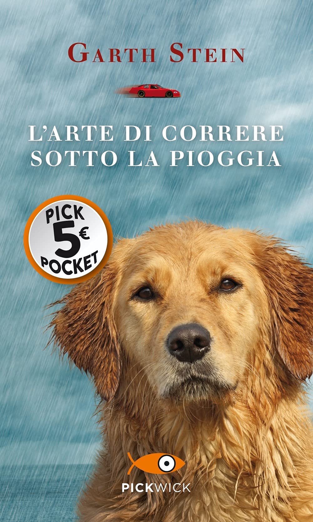 L'arte di correre sotto la pioggia (Piemme pocket) Contemporary literature