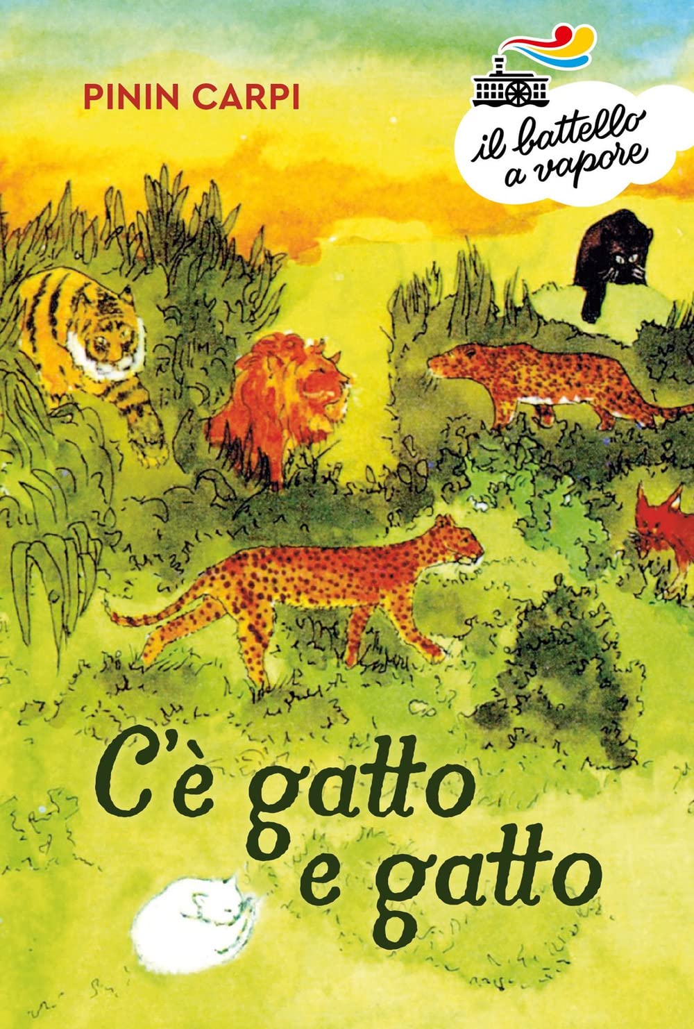 C'è gatto e gatto. Ediz. a colori (Il battello a vapore. Serie azzurra) Non-fiction