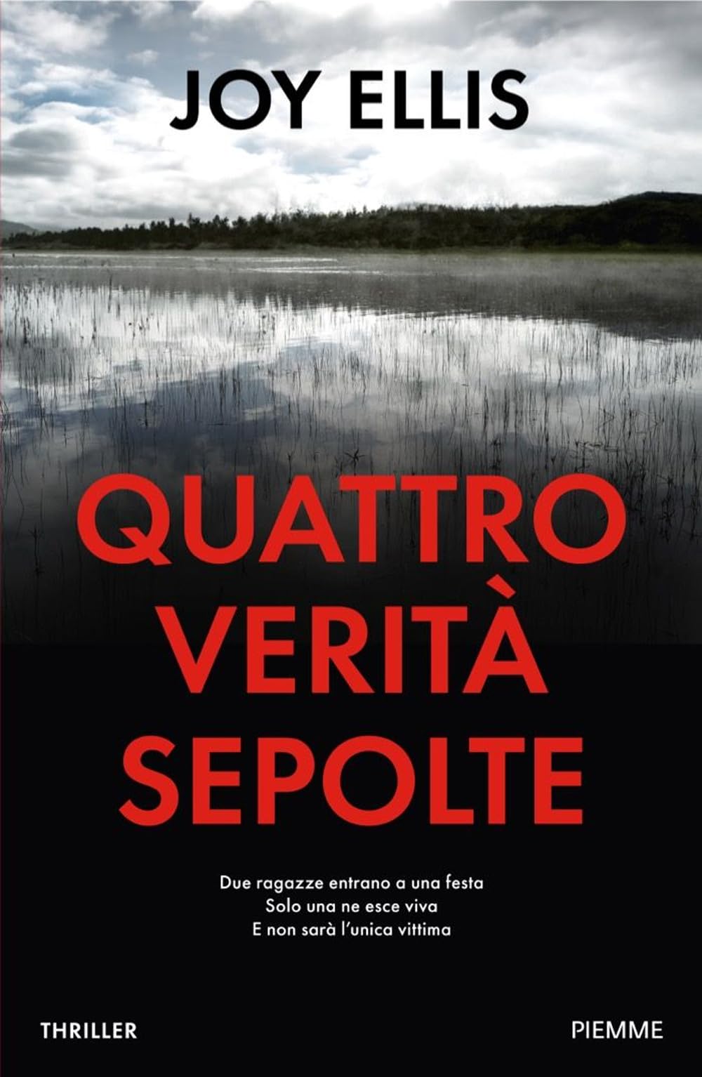 Quattro verità sepolte (Thriller) Contemporary literature