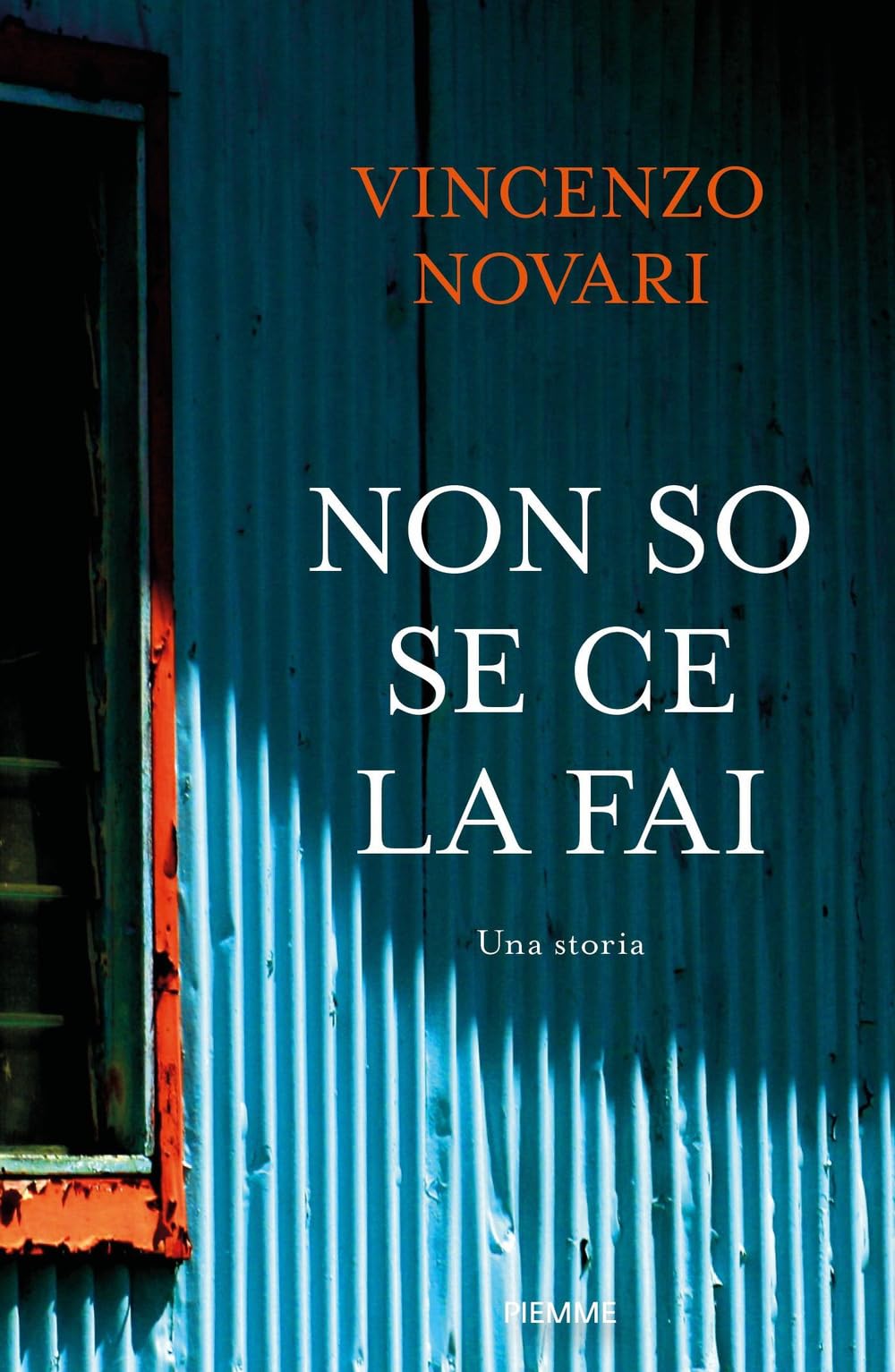 Non so se ce la fai. Una storia book