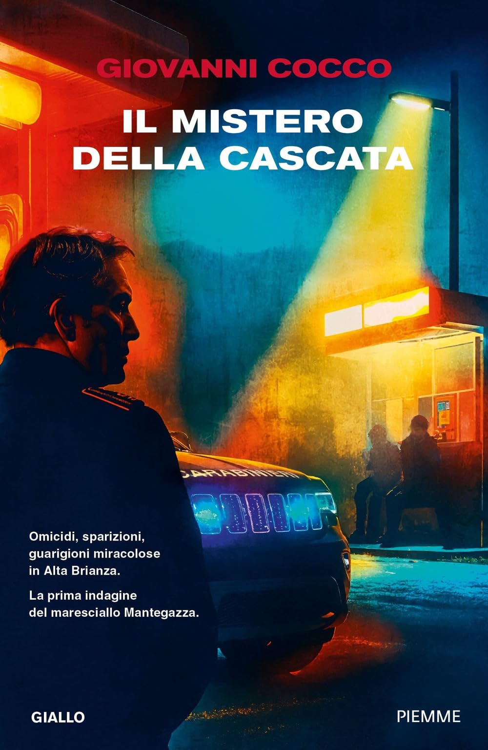 Il mistero della cascata (Thriller) Contemporary literature