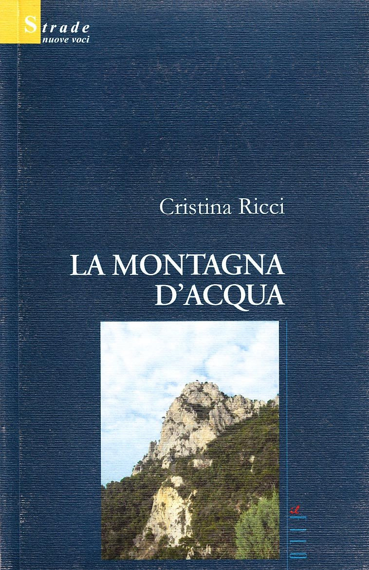 La montagna d'acqua (Nuove voci) Contemporary literature