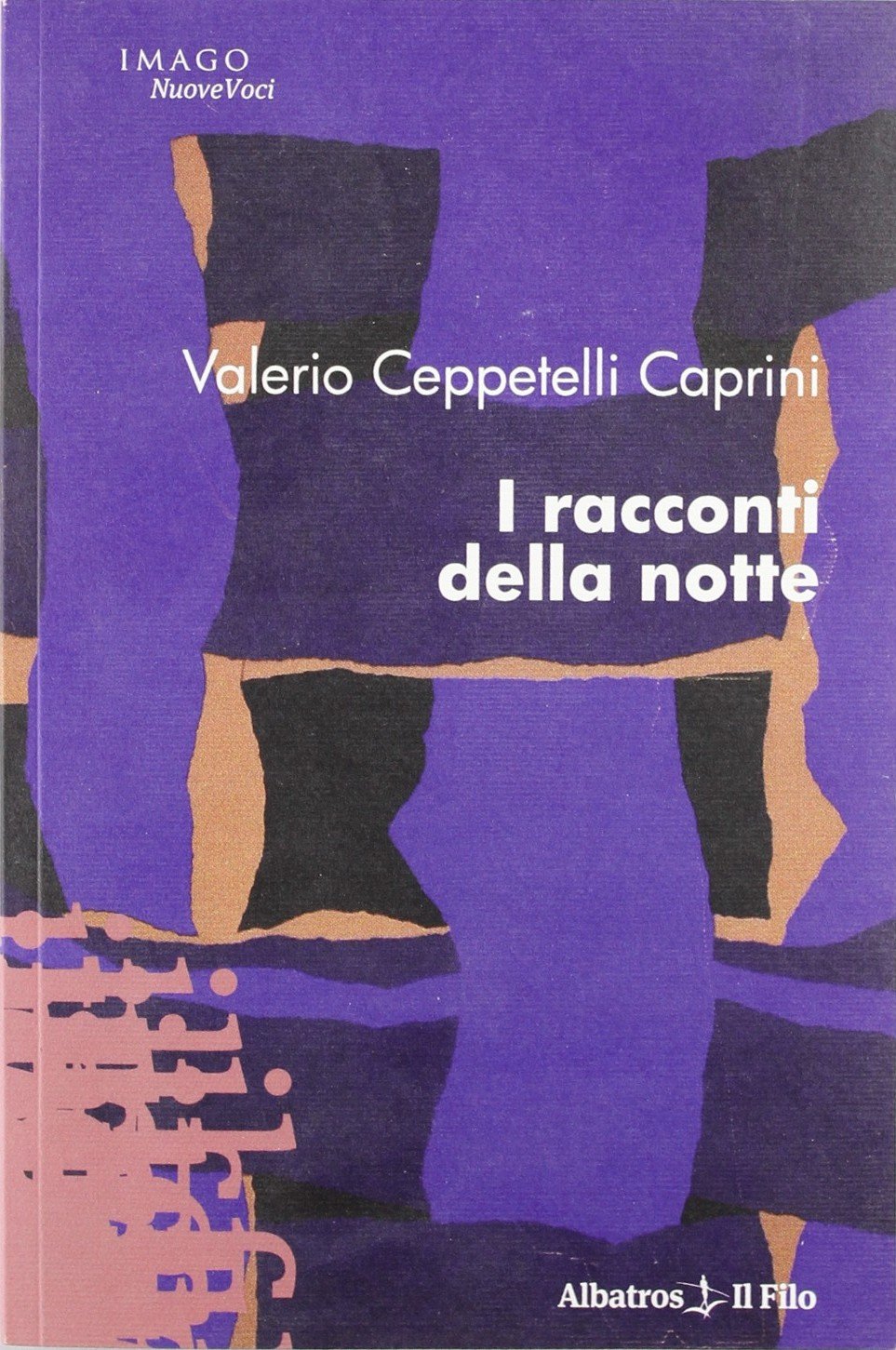 I racconti della notte (Nuove voci) Essays & Short Stories
