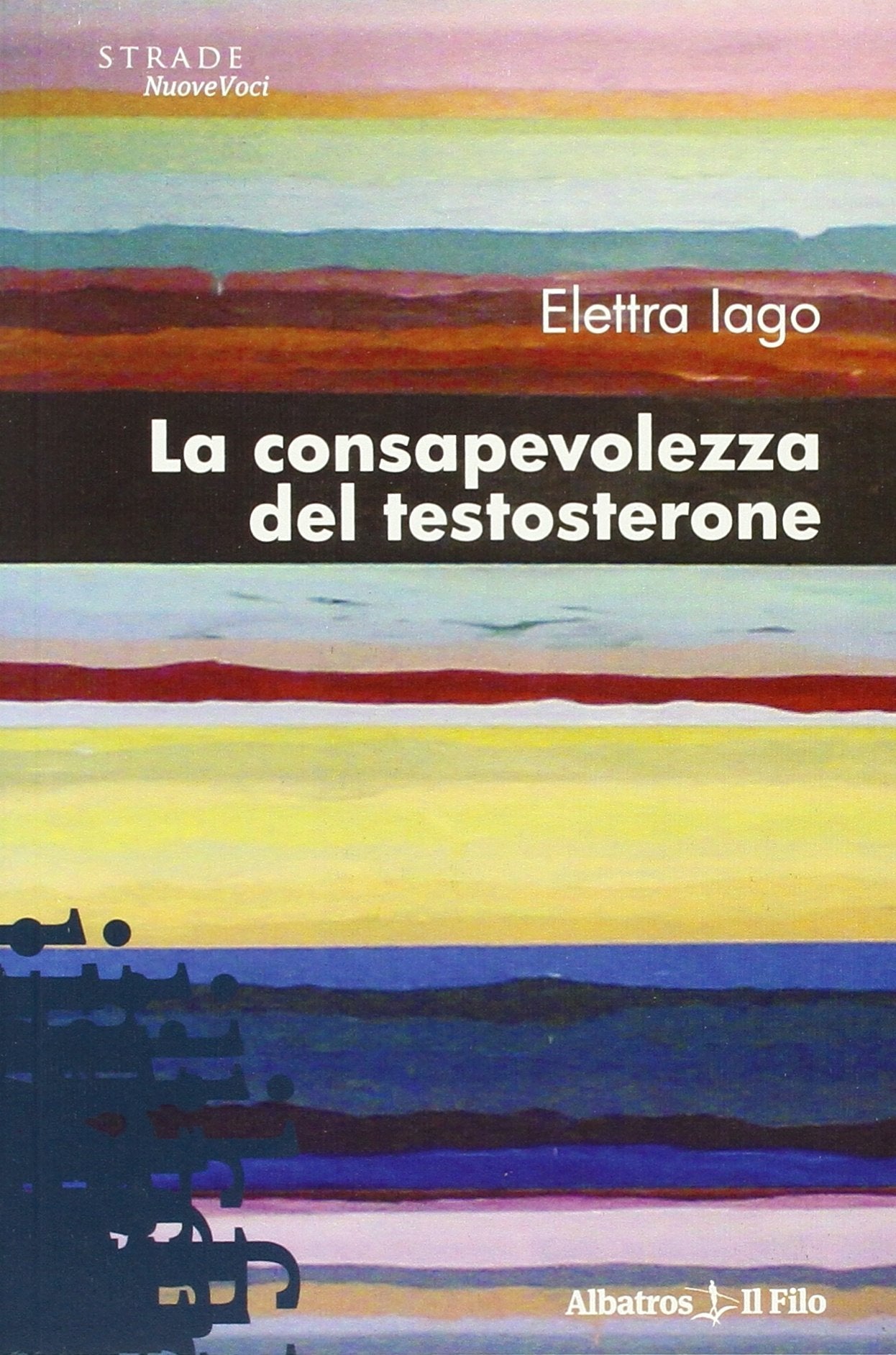La consapevolezza del testosterone (Nuove voci) Contemporary literature