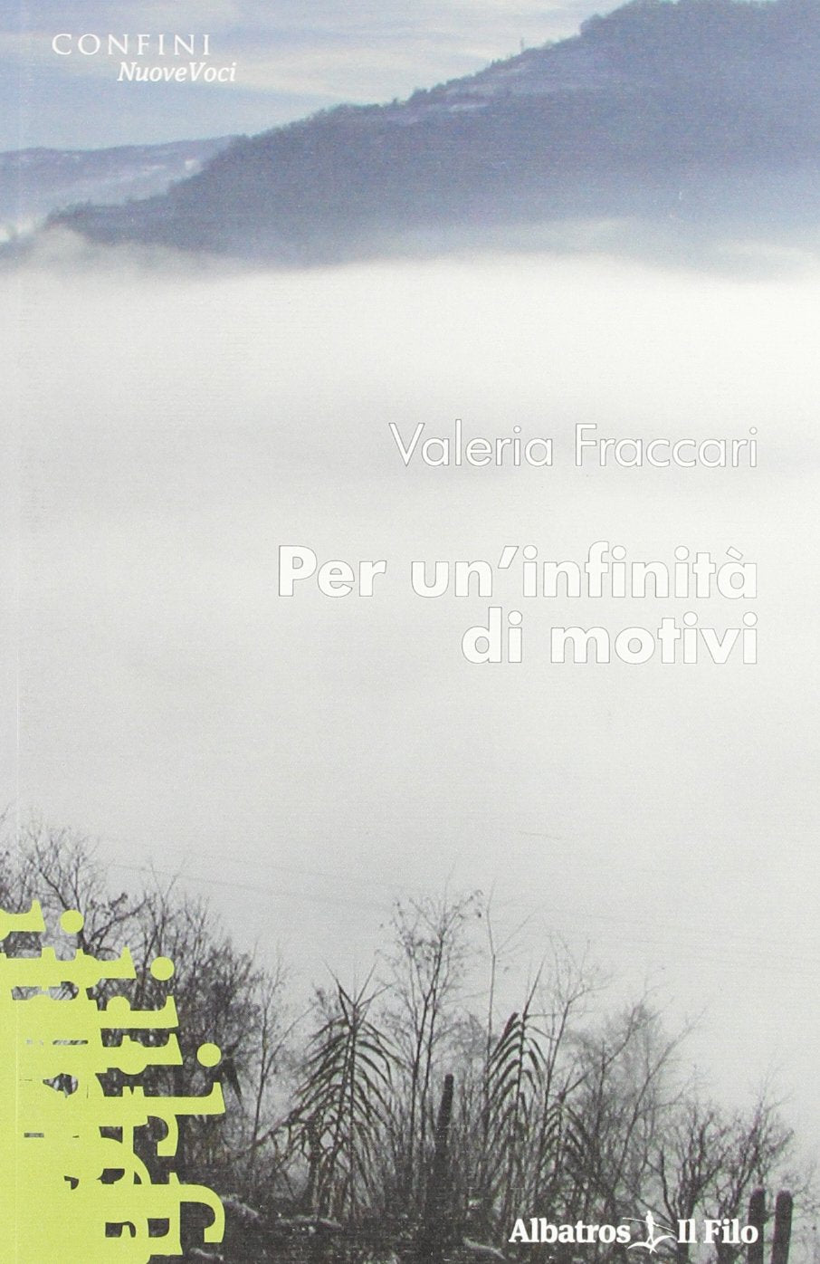 Per un'infinità di motivi (Nuove voci) Contemporary literature