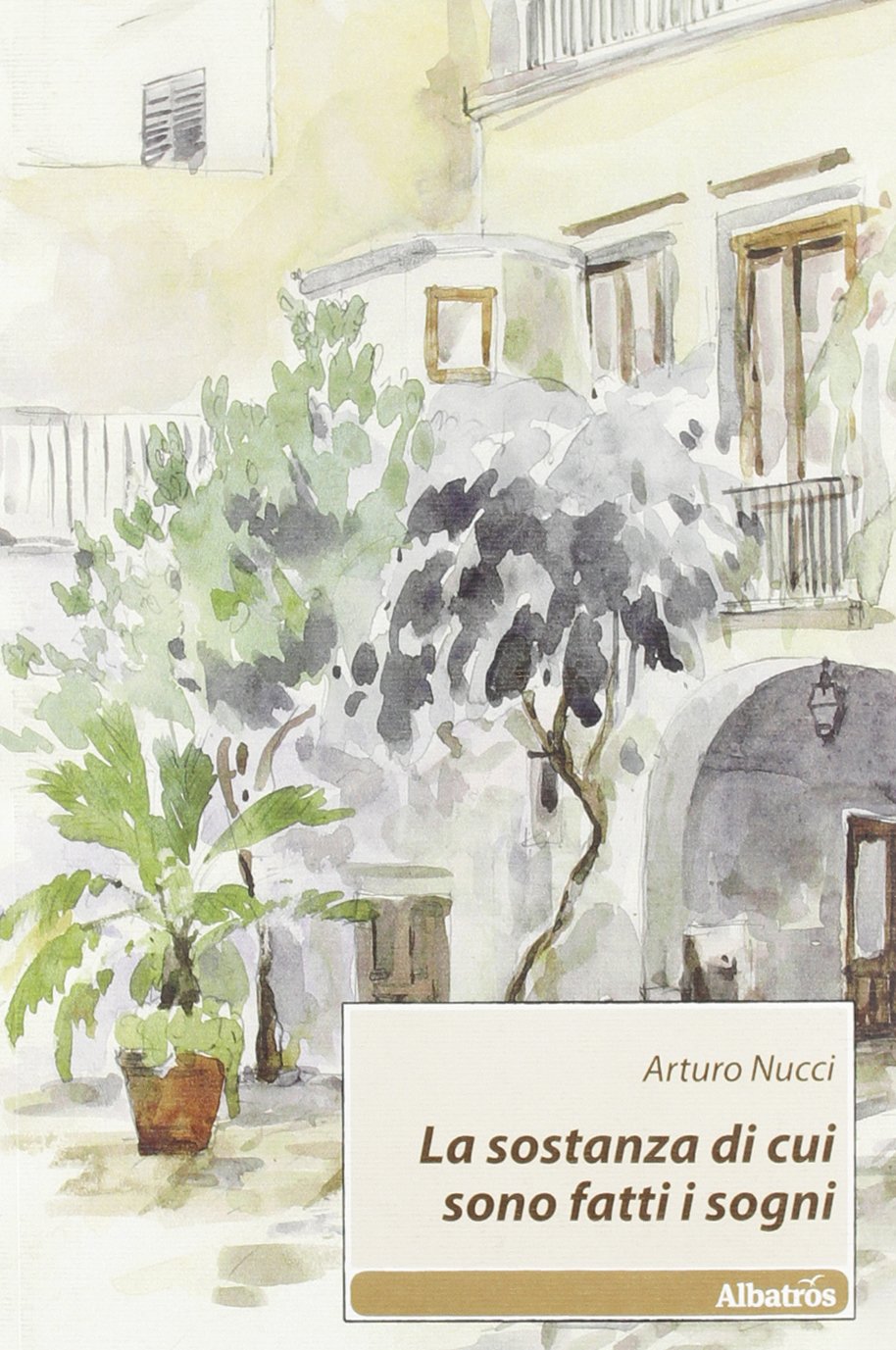 La sostanza di cui sono fatti i sogni (Nuove voci) Contemporary literature