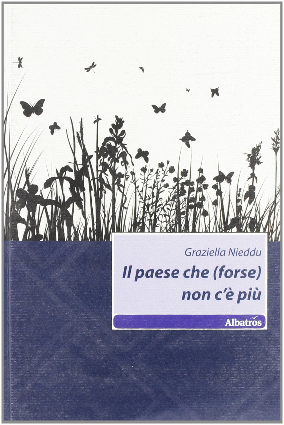 Il paese che (forse) non c'è più book