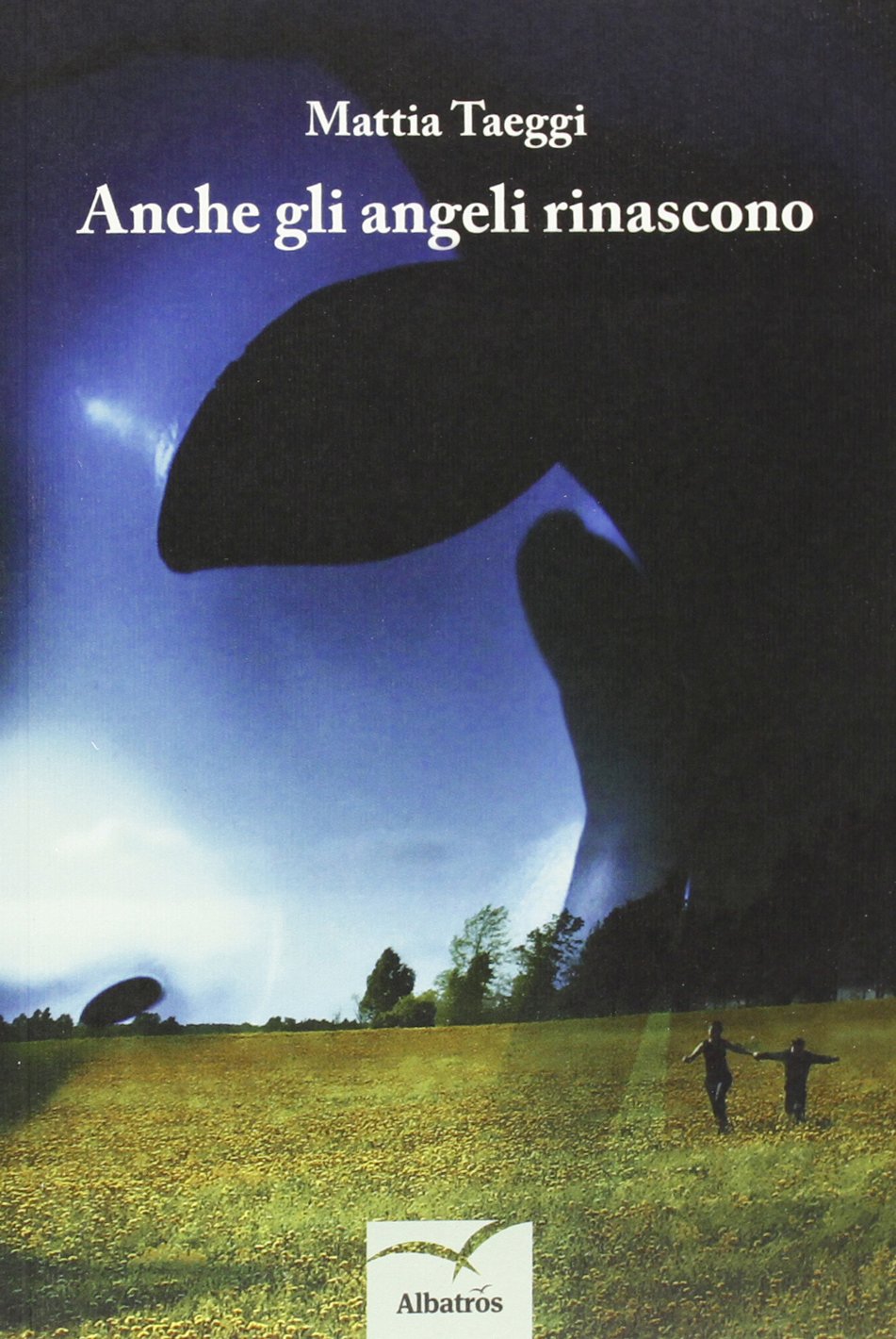 Anche gli angeli rinascono book
