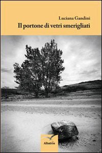 Il portone di vetri smerigliati book