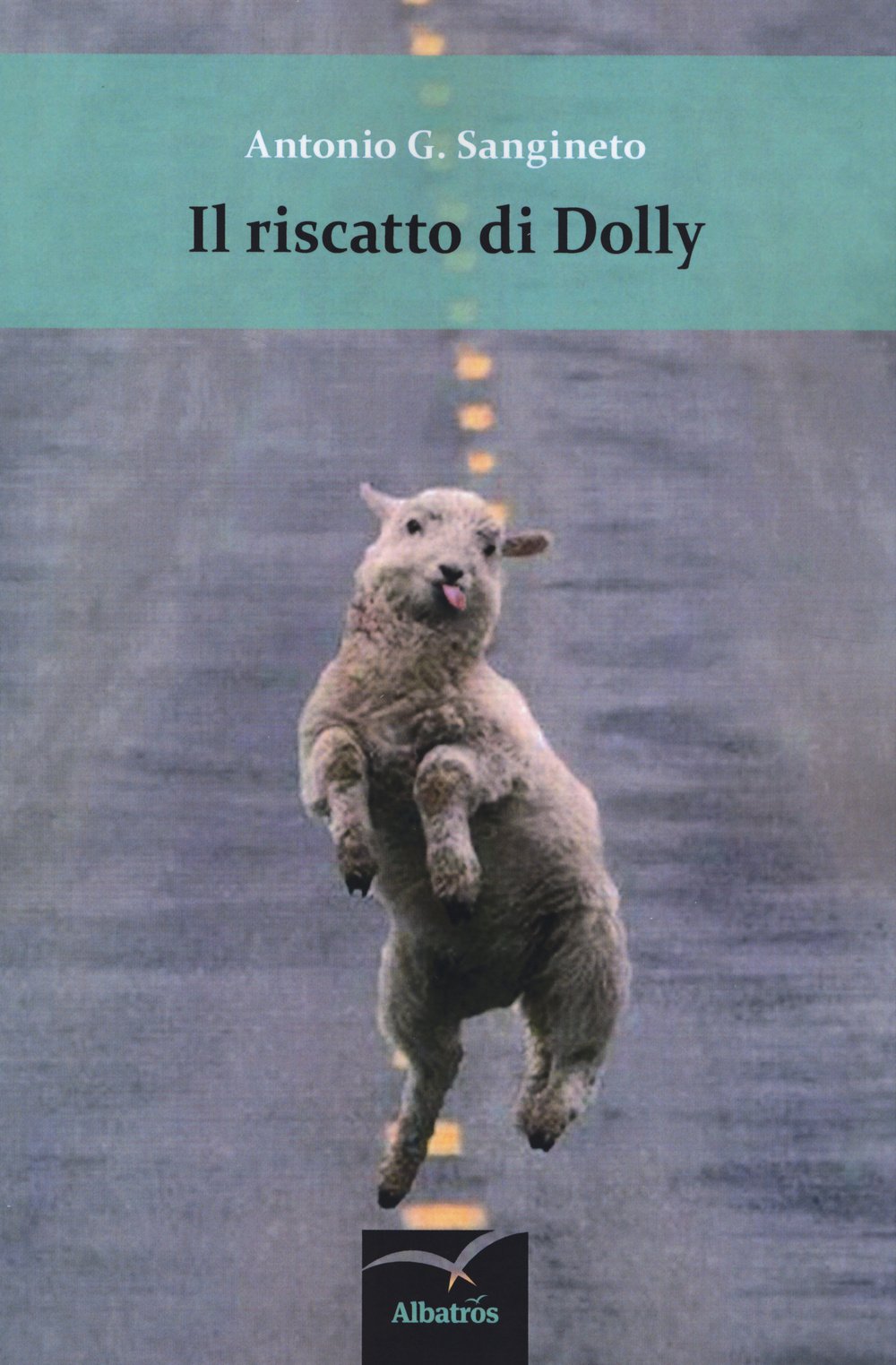 Il riscatto di Dolly book