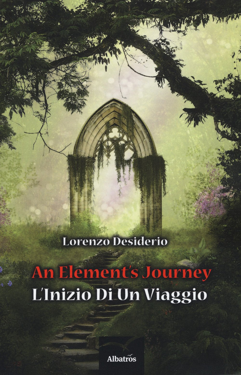 An element's journey. L'inizio di un viaggio book