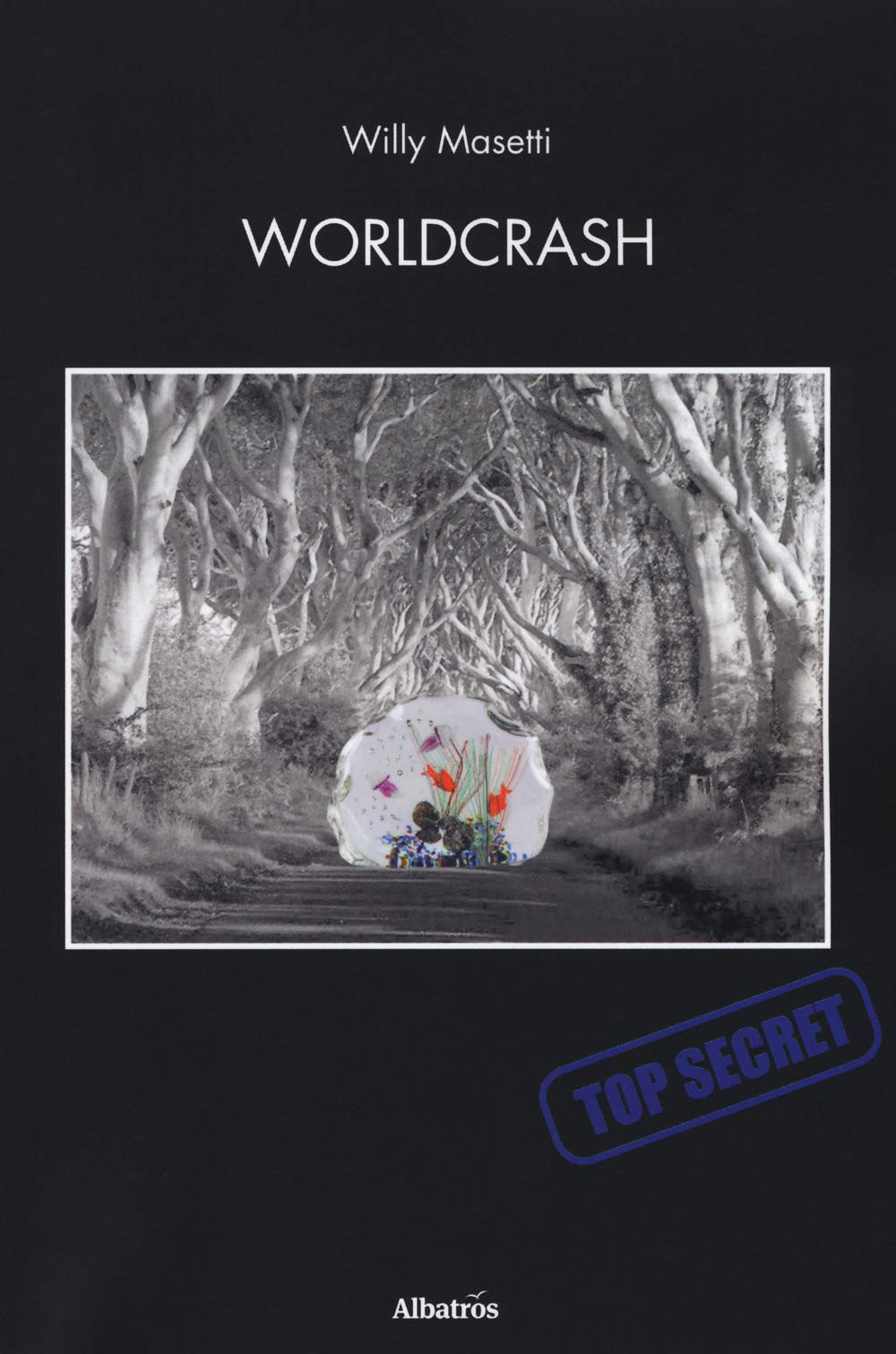 Worldcrash (Nuove voci. Confini) Contemporary literature