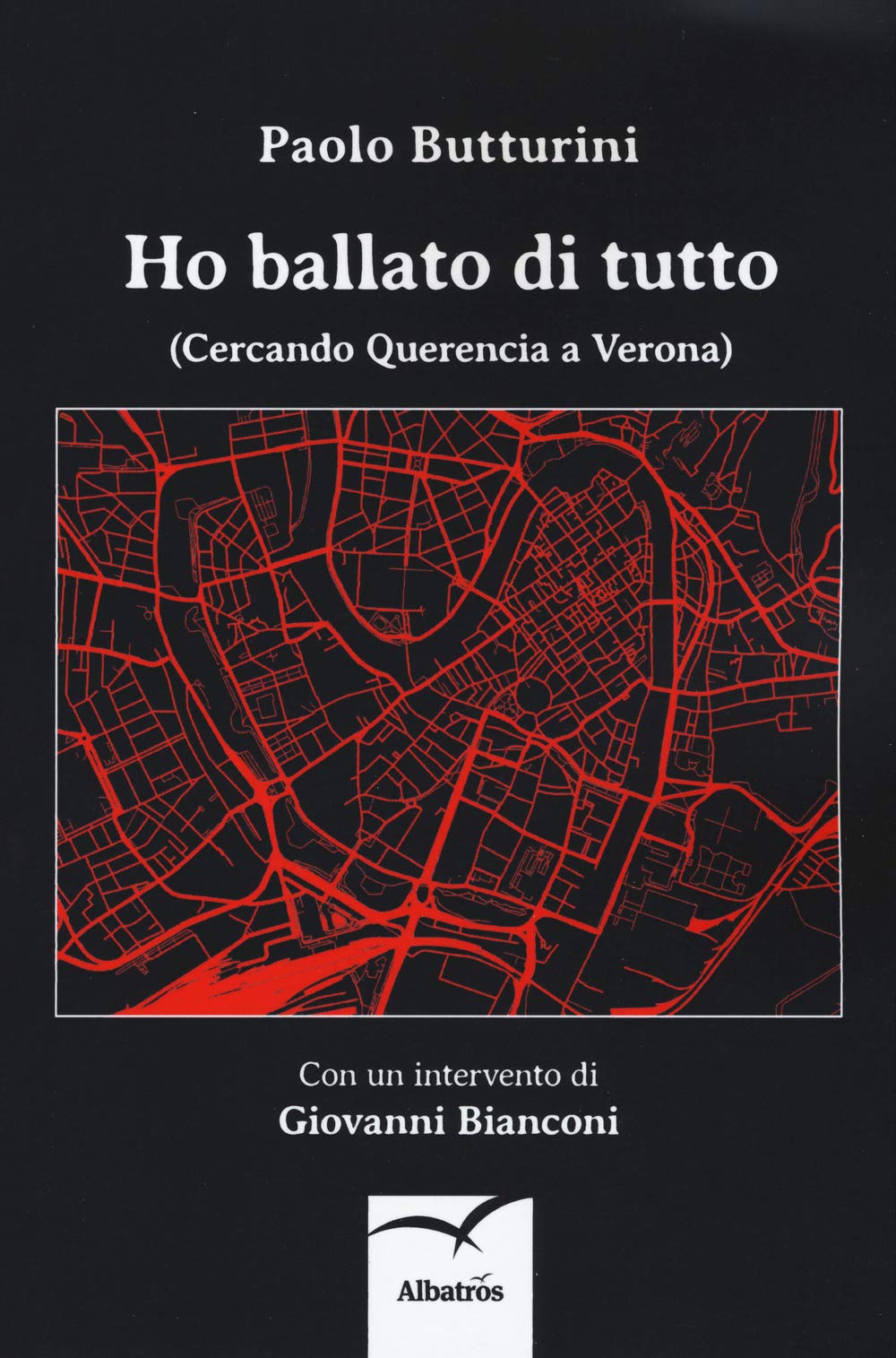 Ho ballato di tutto. (Cercando Querencia a Verona) (Nuove voci. Tracce) Contemporary literature Books
