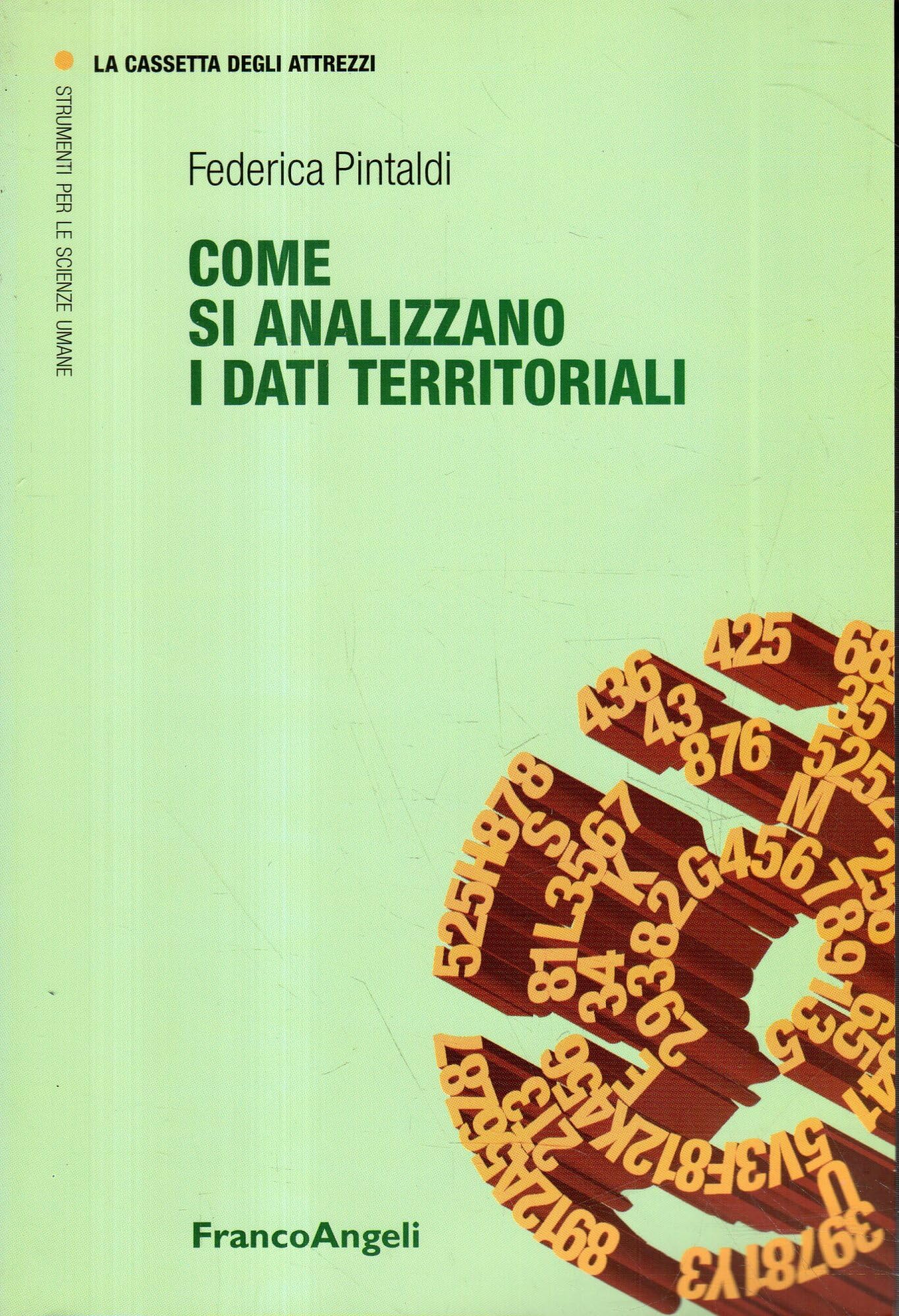 Come si analizzano i dati territoriali book
