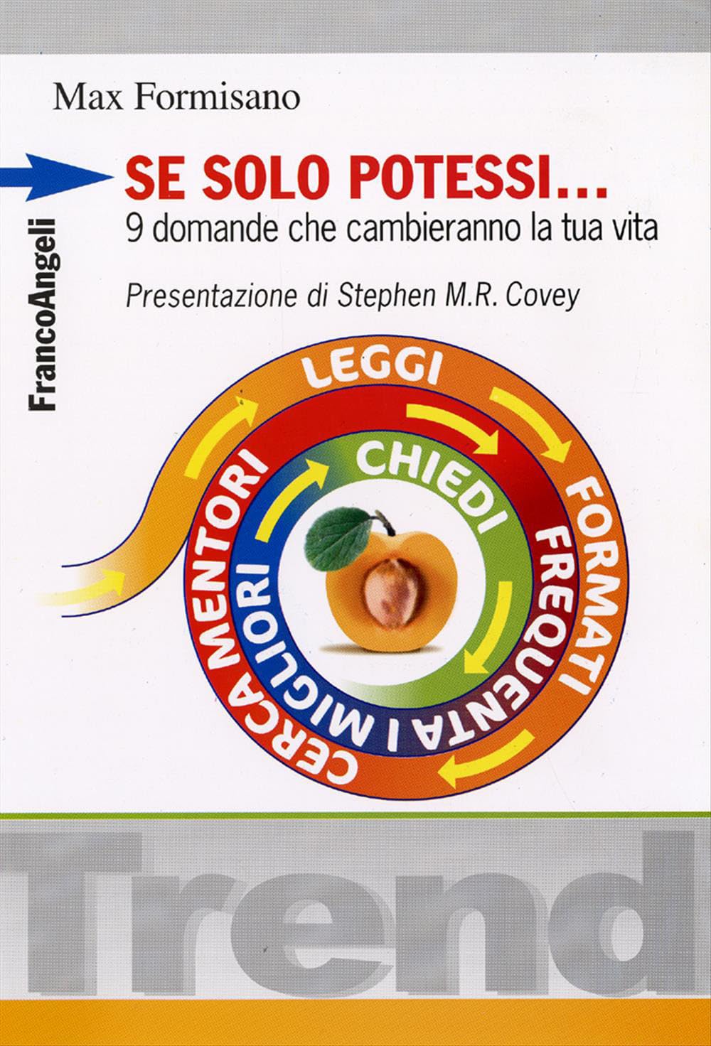 Se solo potessi. 9 domande che cambieranno la tua vita book