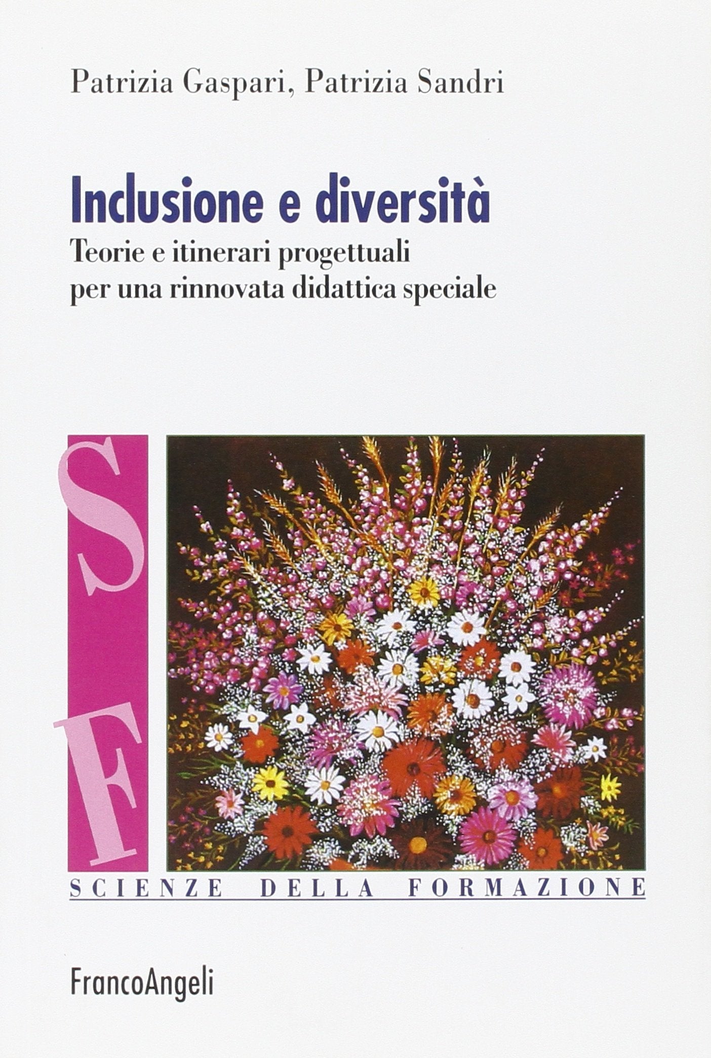 Inclusione e diversità. Teorie e itinerari progettuali per una rinnovata didattica speciale book