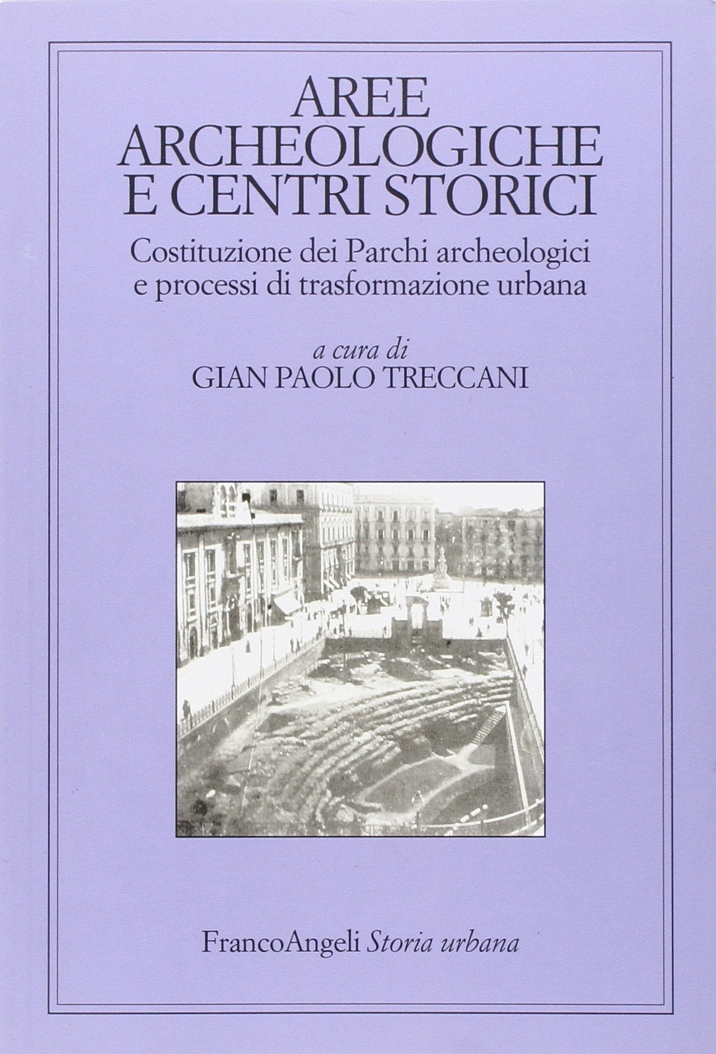 Aree archeologiche e centri storici. Costituzione dei Parchi archeologici e processi di trasformazione urbana book