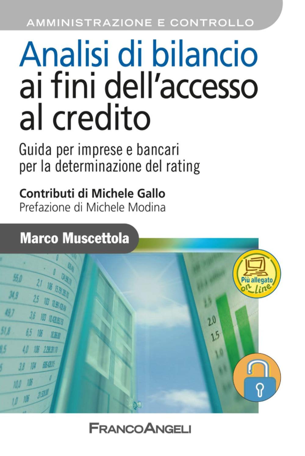 Analisi di bilancio ai fini dell'accesso al credito. Guida per imprese e bancari per la determinazione del rating. Con aggiornamento online book