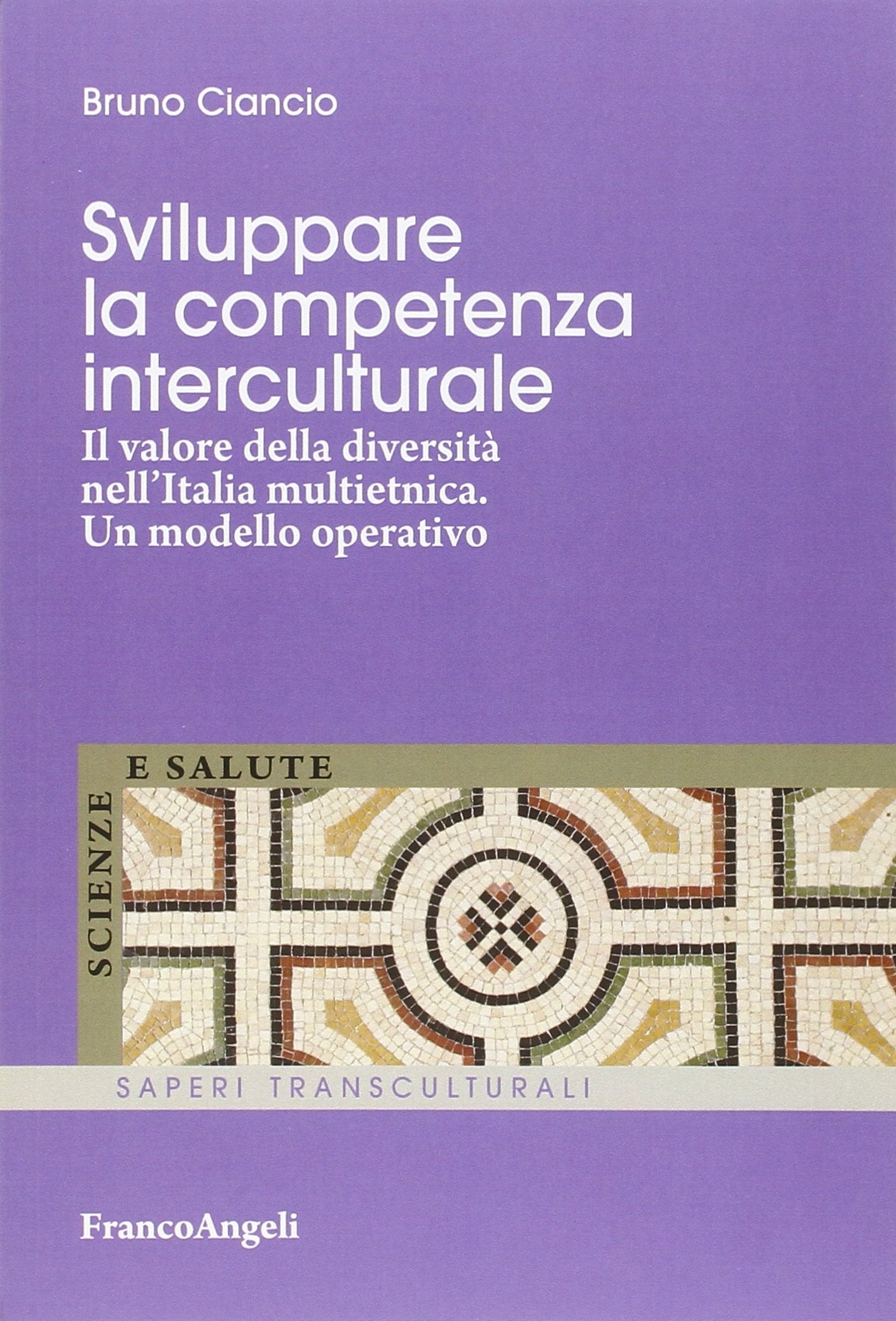 Sviluppare la competenza interculturale. Il valore della diversità nell'Italia multietnica. Un modello operativo book