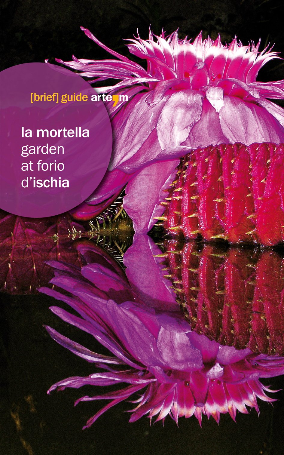 La Mortella garden at Forio d'Ischia (Storia e civiltà) Leisure, Home & Garden